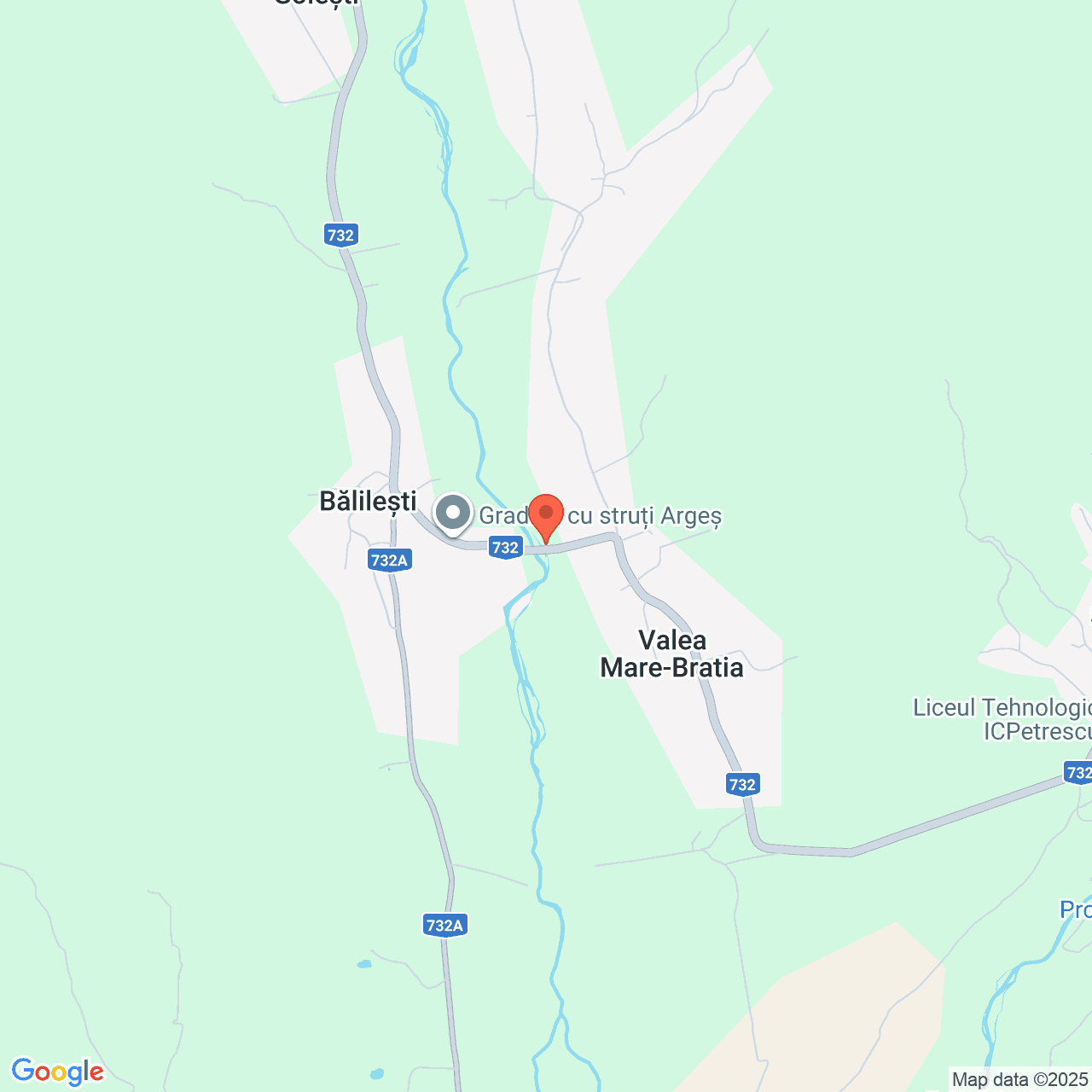 Poza harta streetview, zoom 14, adresa Bălilești, sat Valea Mare-Bratia, jud. Argeș, , judetul