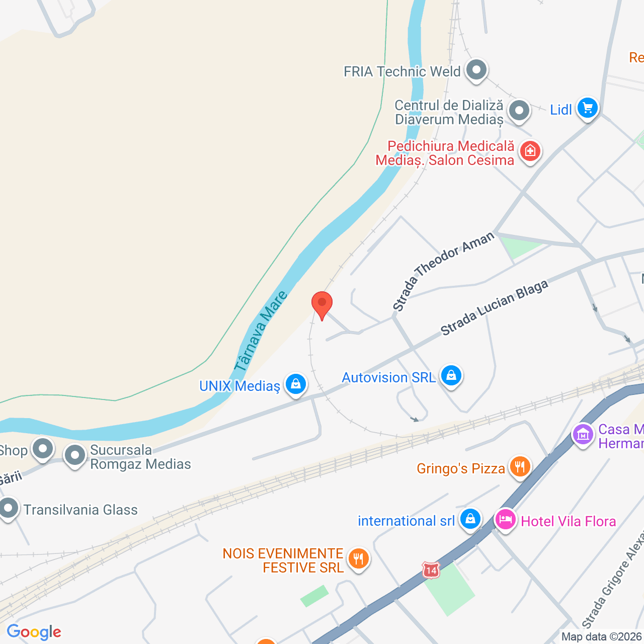 Poza harta streetview, zoom 16, adresa Medias Sibiu, , judetul