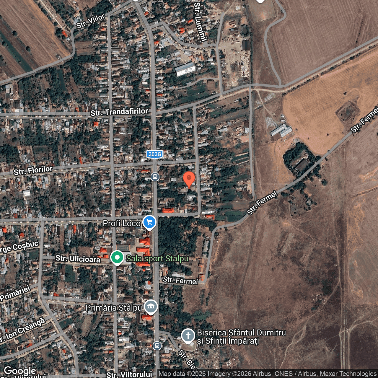 Poza harta hybrid, zoom 16, adresa Stalpu Judet Buzau, , judetul