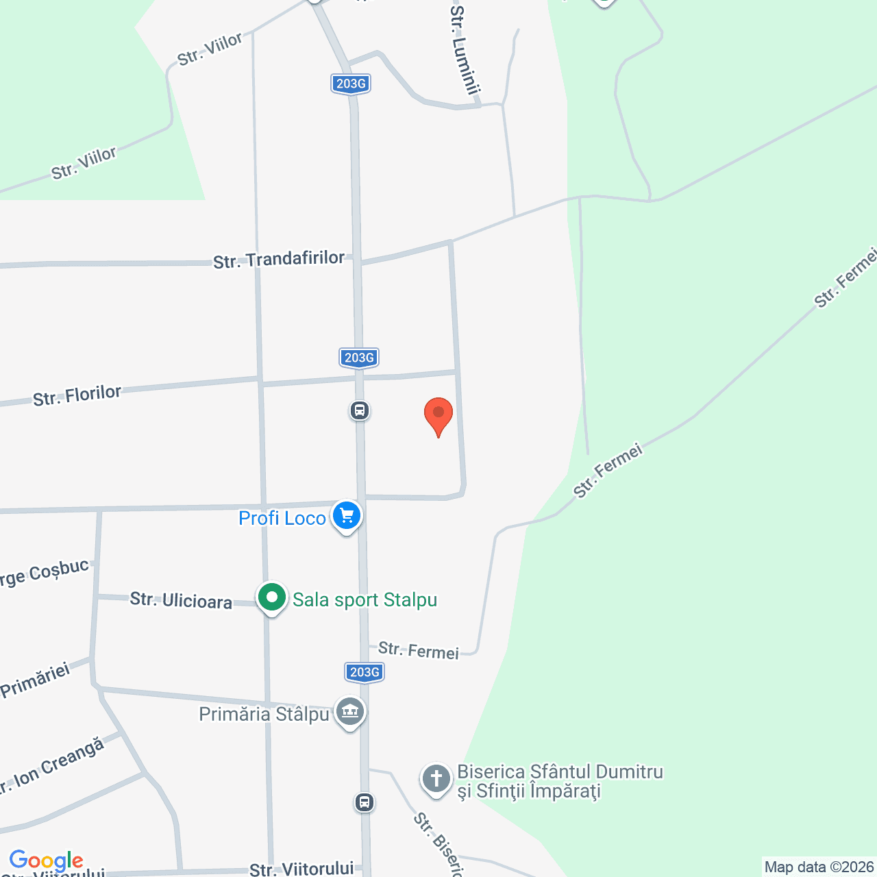 Poza harta streetview, zoom 16, adresa Stalpu Judet Buzau, , judetul