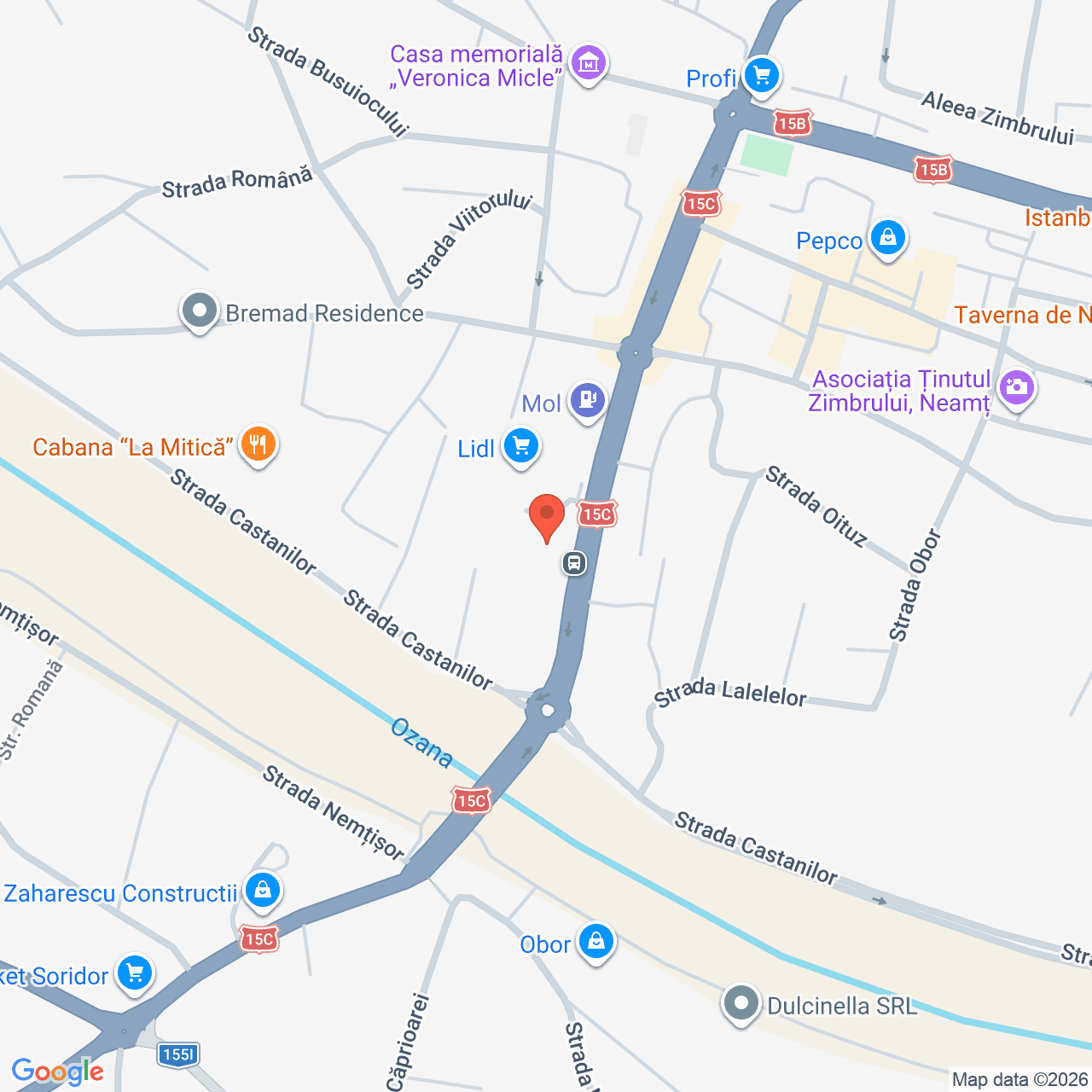 Poza harta streetview, zoom 16, adresa Târgu Neamț, str. Mihai Eminescu, nr. 16A, , judetul