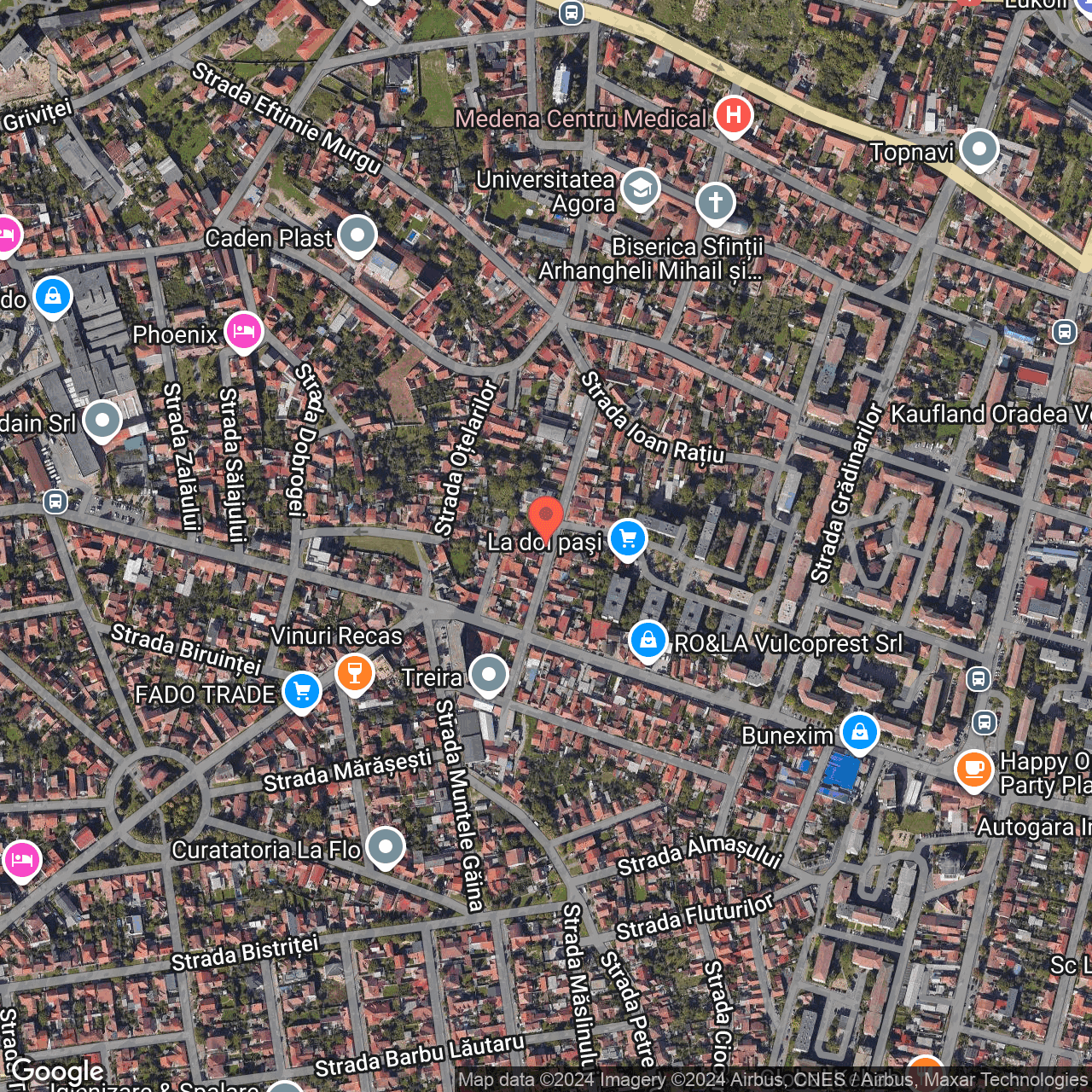 Poza harta hybrid, zoom 16, adresa Oradea, str. Miron Pompiliu, Nr. 9, , judetul