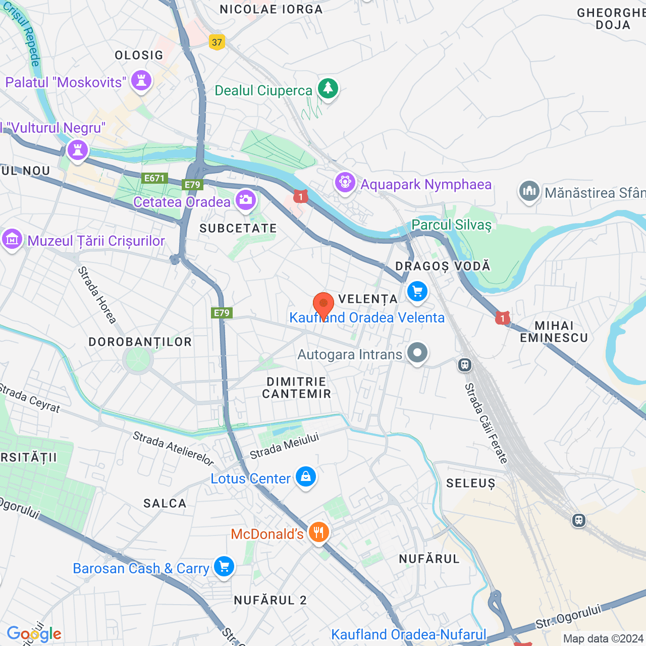 Poza harta streetview, zoom 14, adresa Oradea, str. Miron Pompiliu, Nr. 9, , judetul