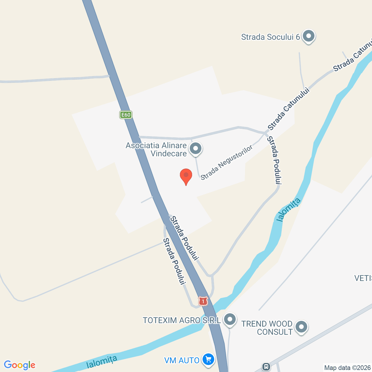 Poza harta streetview, zoom 16, adresa Ciolpani Ilfov, , judetul