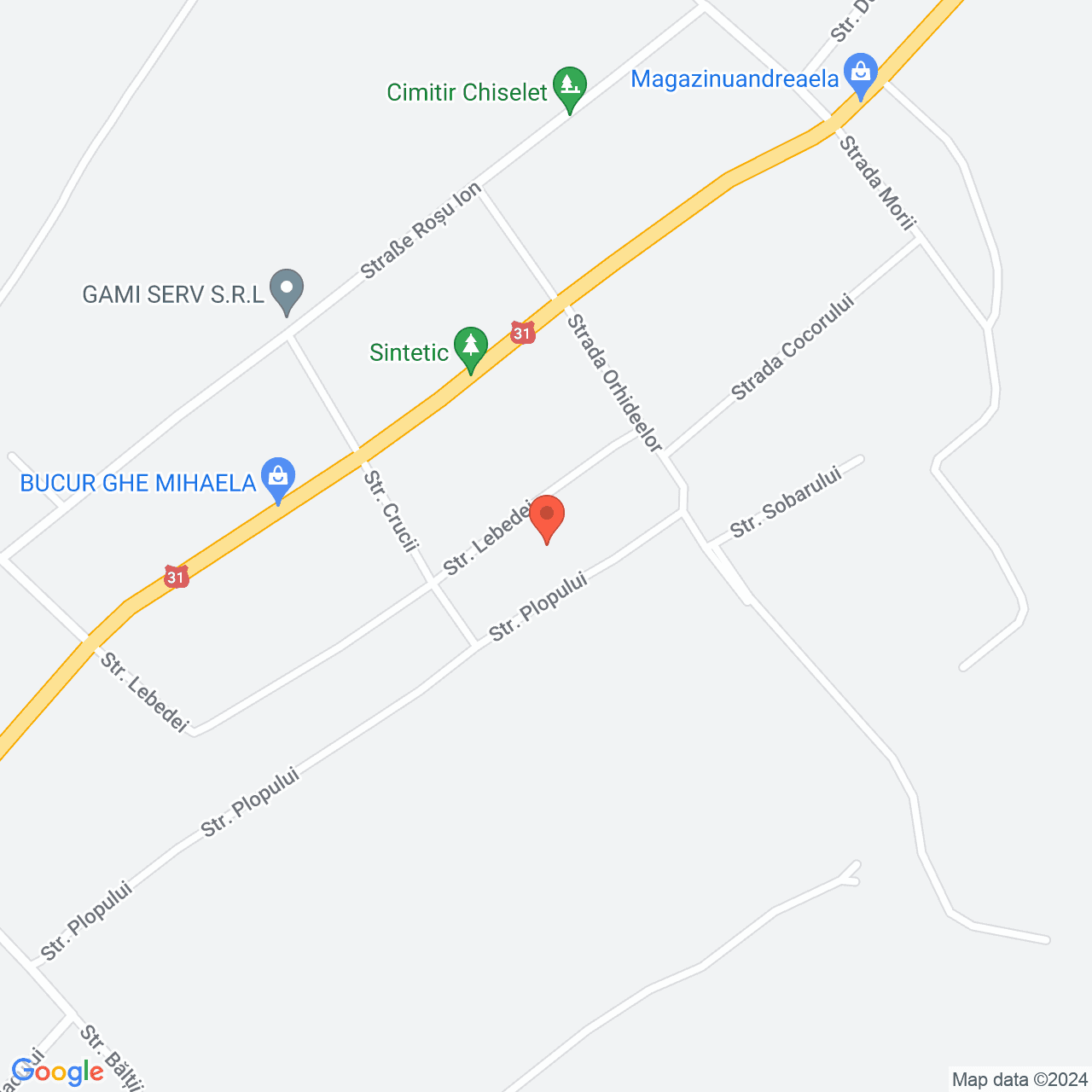 Poza harta streetview, zoom 16, adresa Chiselet Calarasi, , judetul