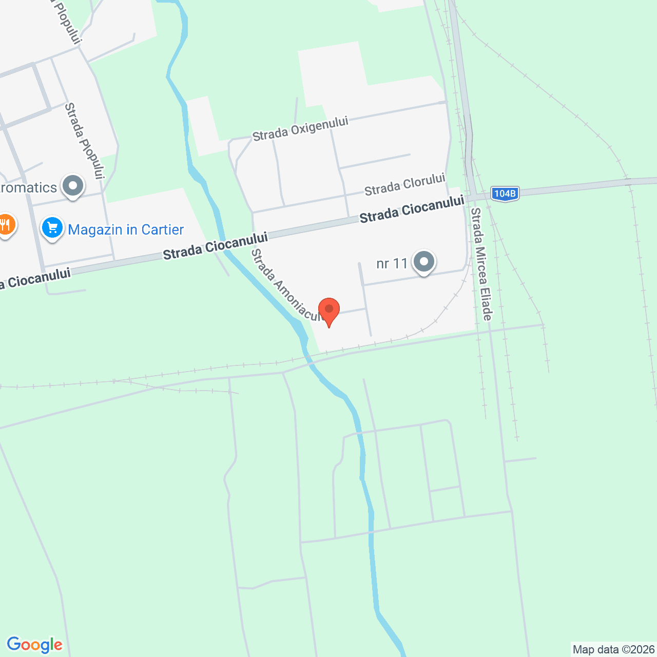 Poza harta streetview, zoom 16, adresa Făgăraș, Strada Amoniacului, Jud. Brașov, , judetul
