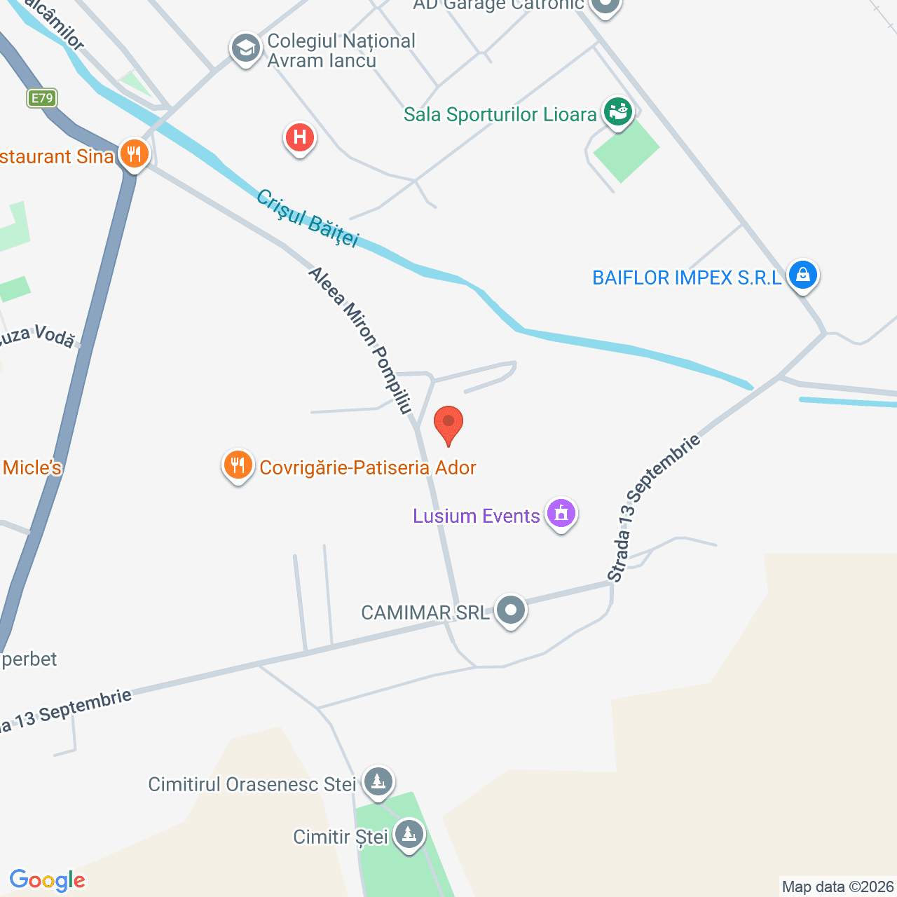 Poza harta streetview, zoom 16, adresa Stei judet Bihor, , judetul