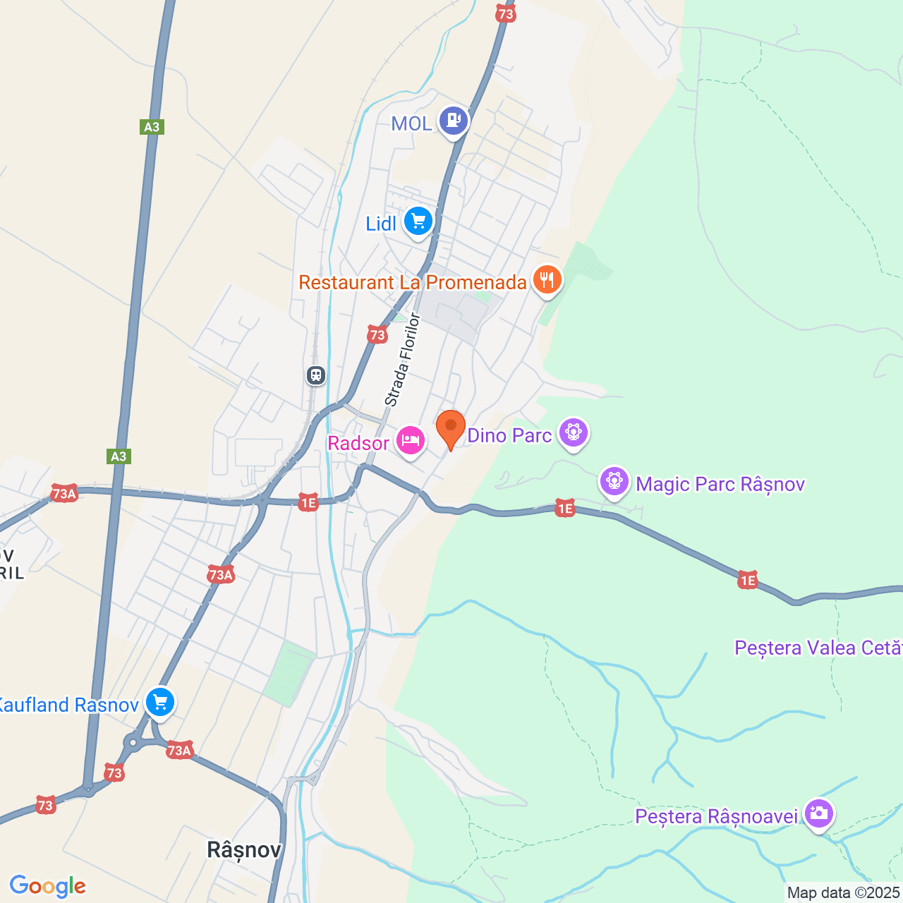 Poza harta streetview, zoom 14, adresa Rasnov, str. Izvor nr. 6, , judetul