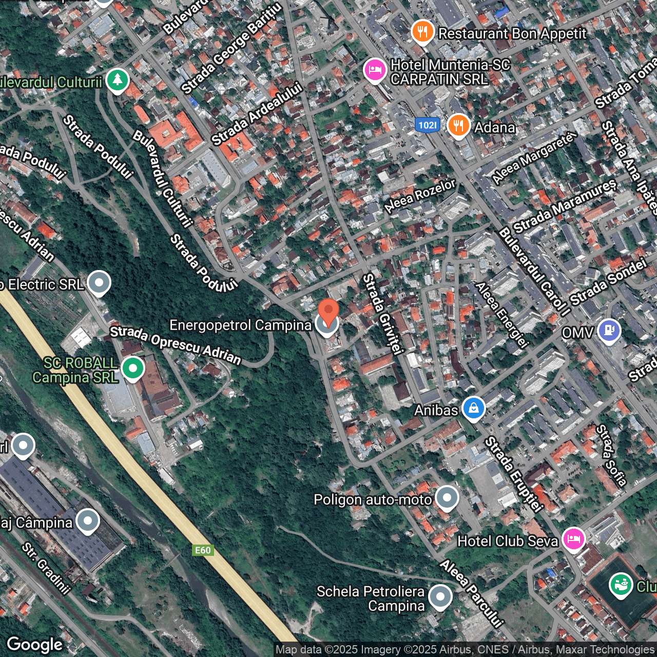 Poza harta hybrid, zoom 16, adresa Campina, Str. Schelelor, nr. 22, , judetul