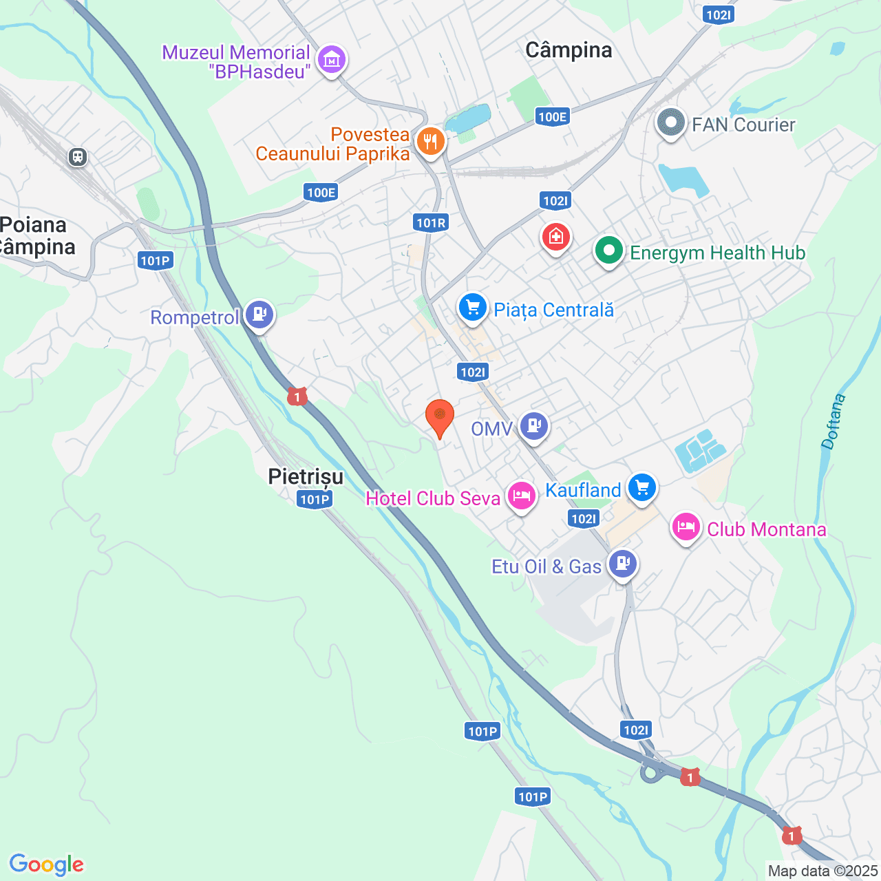 Poza harta streetview, zoom 14, adresa Campina, Str. Schelelor, nr. 22, , judetul