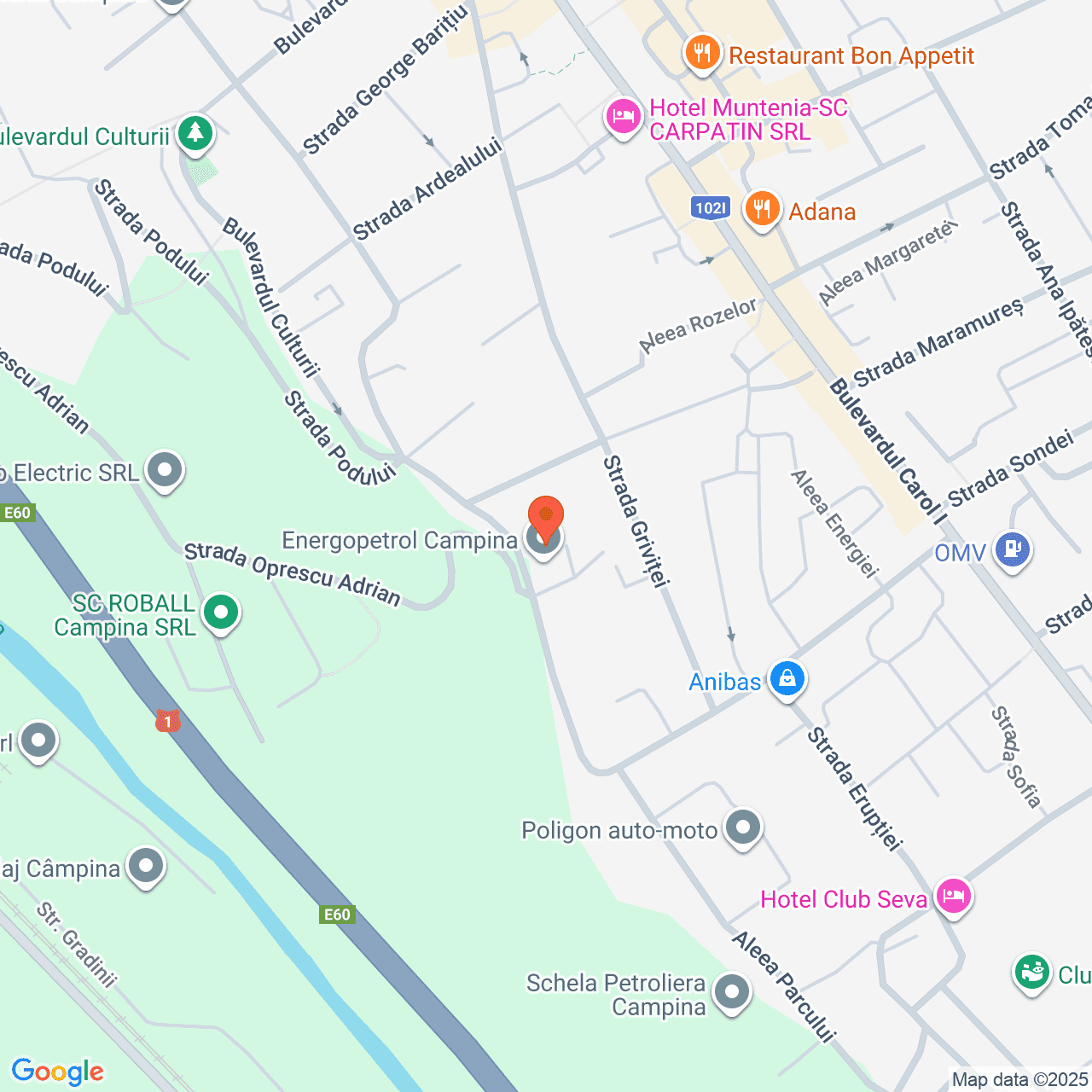 Poza harta streetview, zoom 16, adresa Campina, Str. Schelelor, nr. 22, , judetul