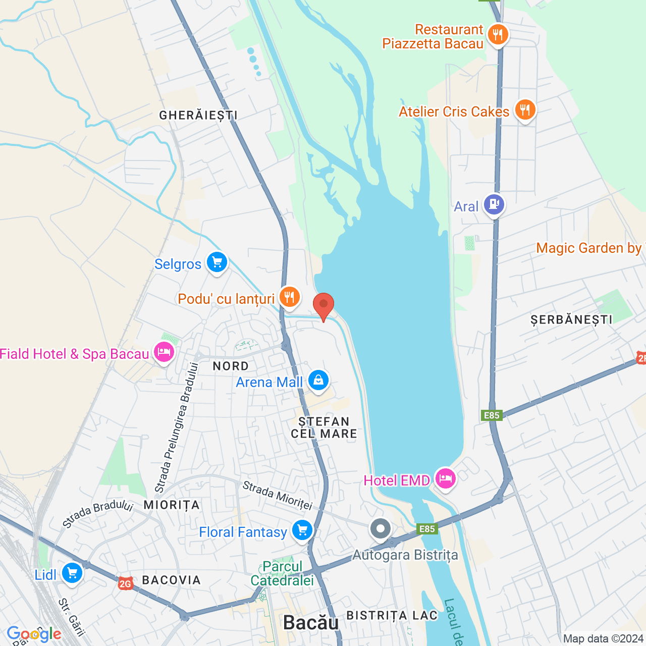 Poza harta streetview, zoom 14, adresa Bacău, str. Stefan cel Mare, nr 50bis, , judetul