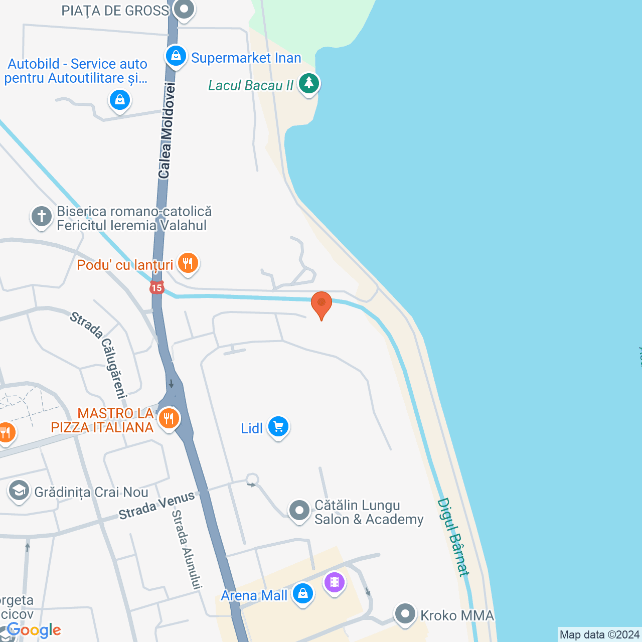 Poza harta streetview, zoom 16, adresa Bacău, str. Stefan cel Mare, nr 50bis, , judetul