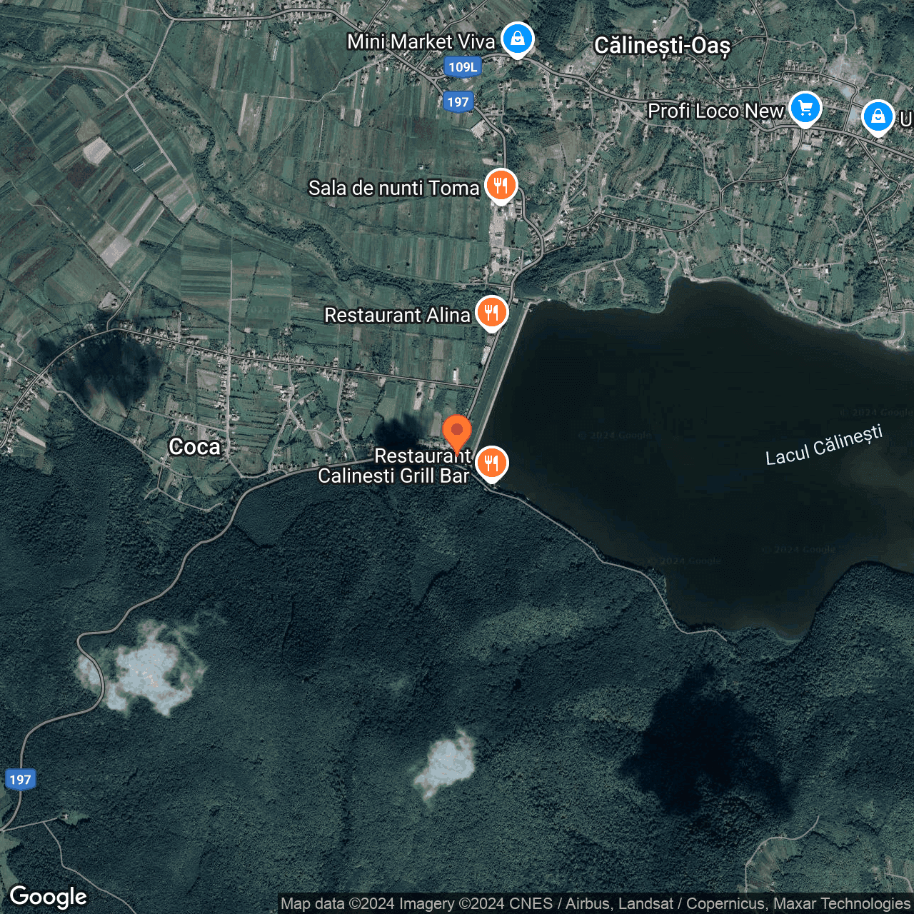 Poza harta hybrid, zoom 14, adresa Călinești, nr. 217F, jud. Satu Mare, , judetul