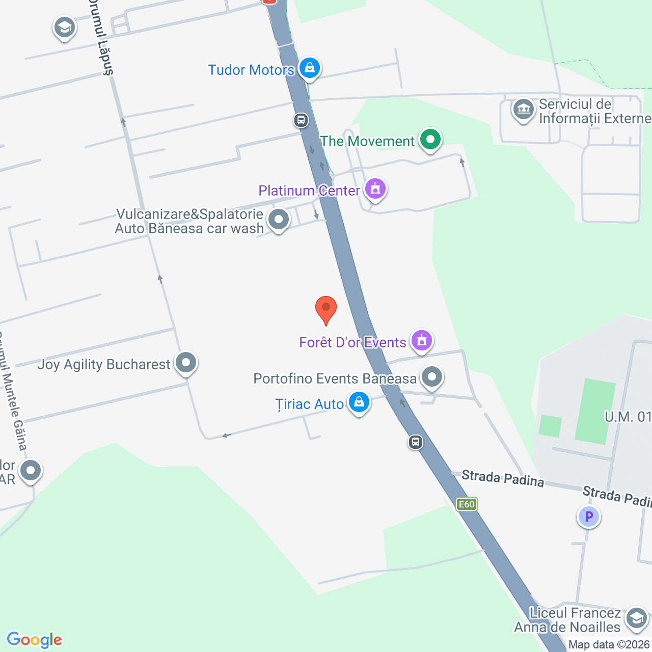 Poza harta streetview, zoom 16, adresa Soseaua Bucuresti - Ploiesti, nr. 113 Sector 1 Bucuresti, , judetul