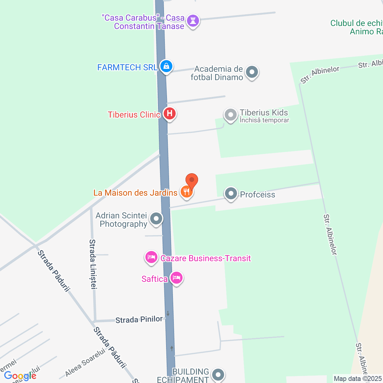 Poza harta streetview, zoom 16, adresa Calea Bucuresti nr.103E, sat Saftica, comuna Balotesti, , judetul