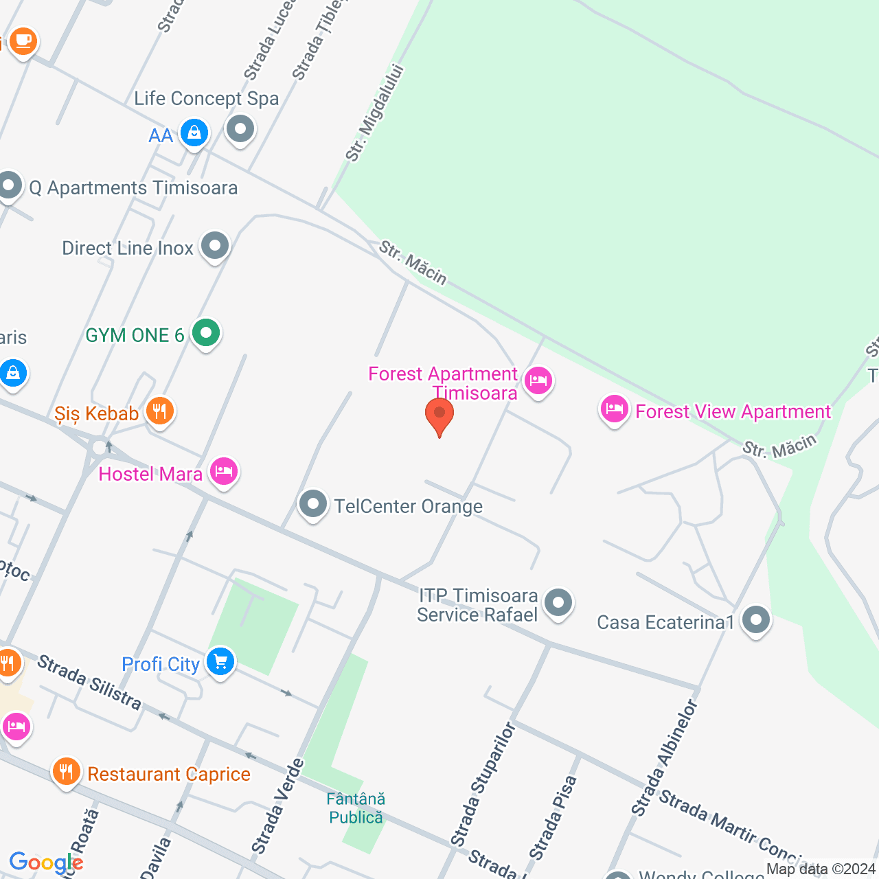 Poza harta streetview, zoom 16, adresa Strada Constructorilor Timisoara, , judetul