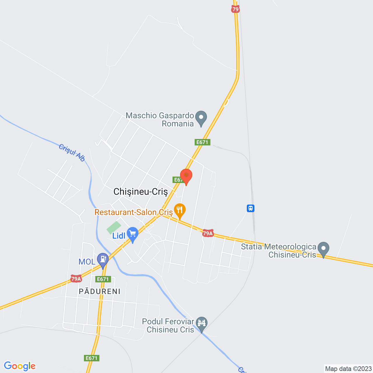 Poza harta streetview, zoom 14, adresa Chișineu-Criș, str. George Coșbuc, nr 30, , judetul