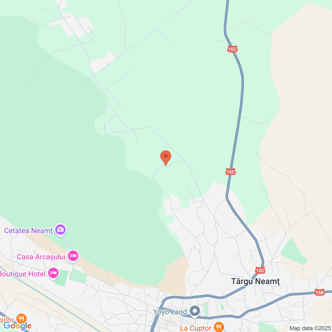 Poza harta streetview, zoom 14, adresa str. Baile Oglinzi, orașul Targu Neamt, judetul Neamt, , judetul