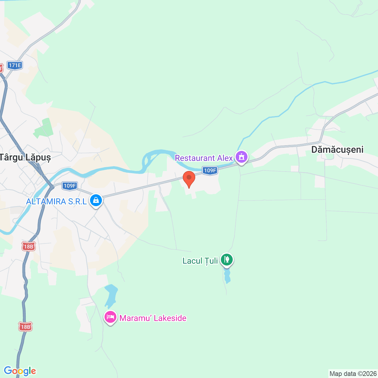 Poza harta streetview, zoom 14, adresa Targu Lapus Maramures, , judetul