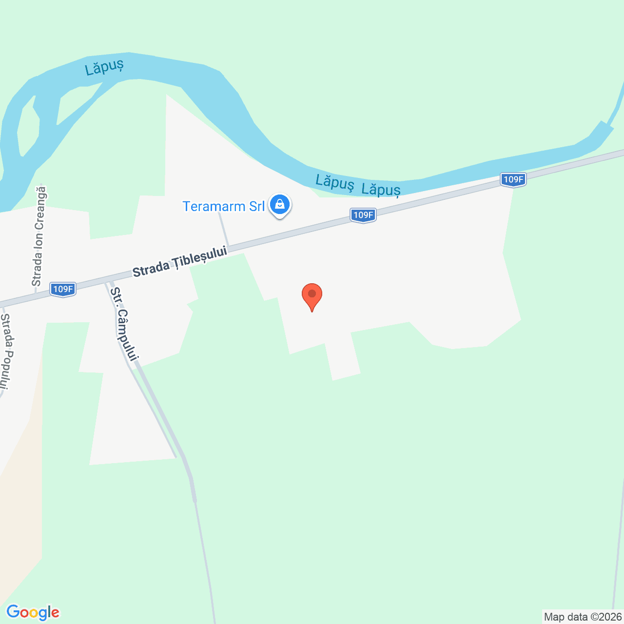 Poza harta streetview, zoom 16, adresa Targu Lapus Maramures, , judetul