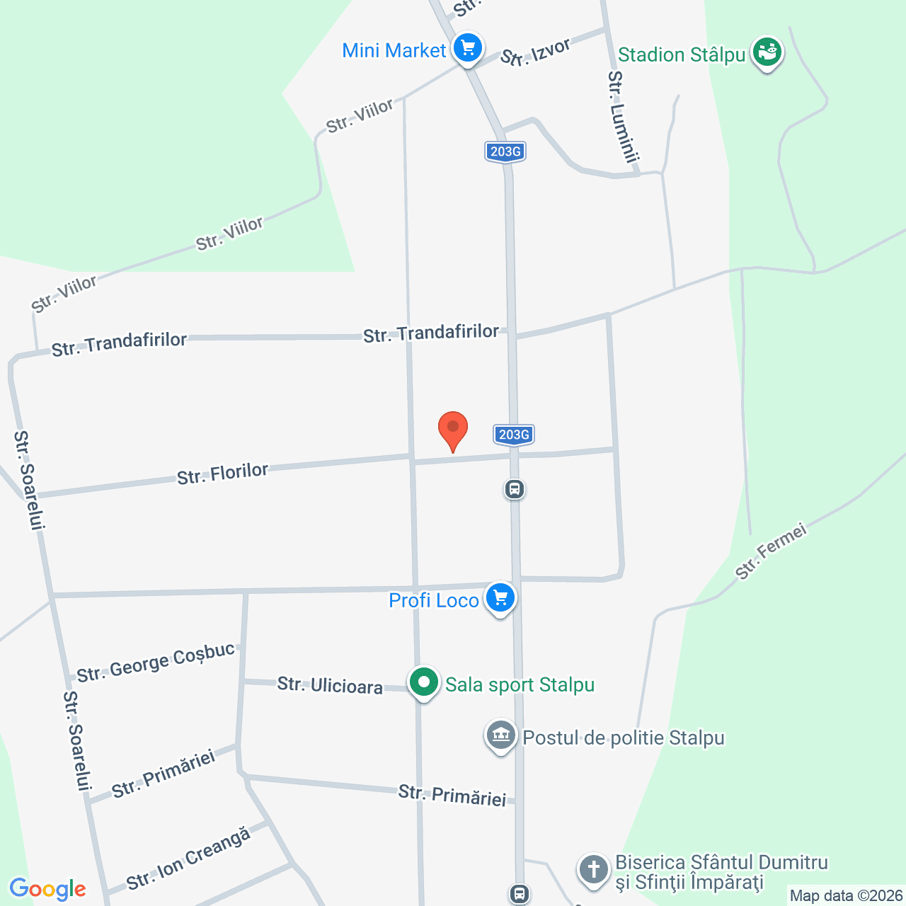 Poza harta streetview, zoom 16, adresa Stalpu strada Florilor judet Buzau, , judetul
