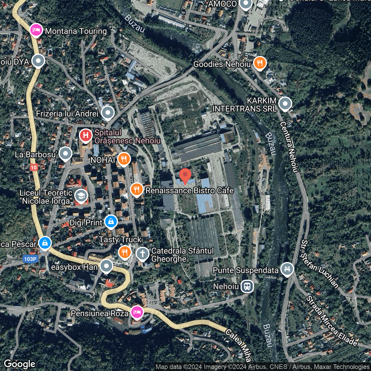 Poza harta hybrid, zoom 16, adresa Nehoiu, Str. 1 Decembrie 1918, nr. 8, , judetul