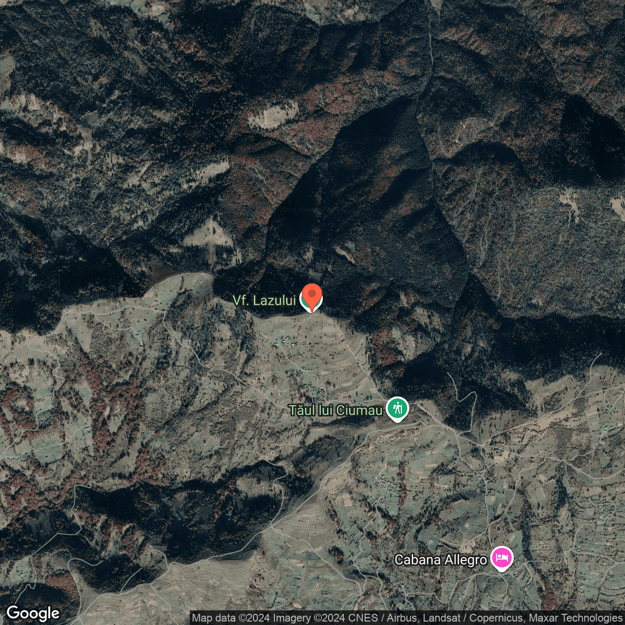 Poza harta hybrid, zoom 14, adresa Moisei Maramures, , judetul