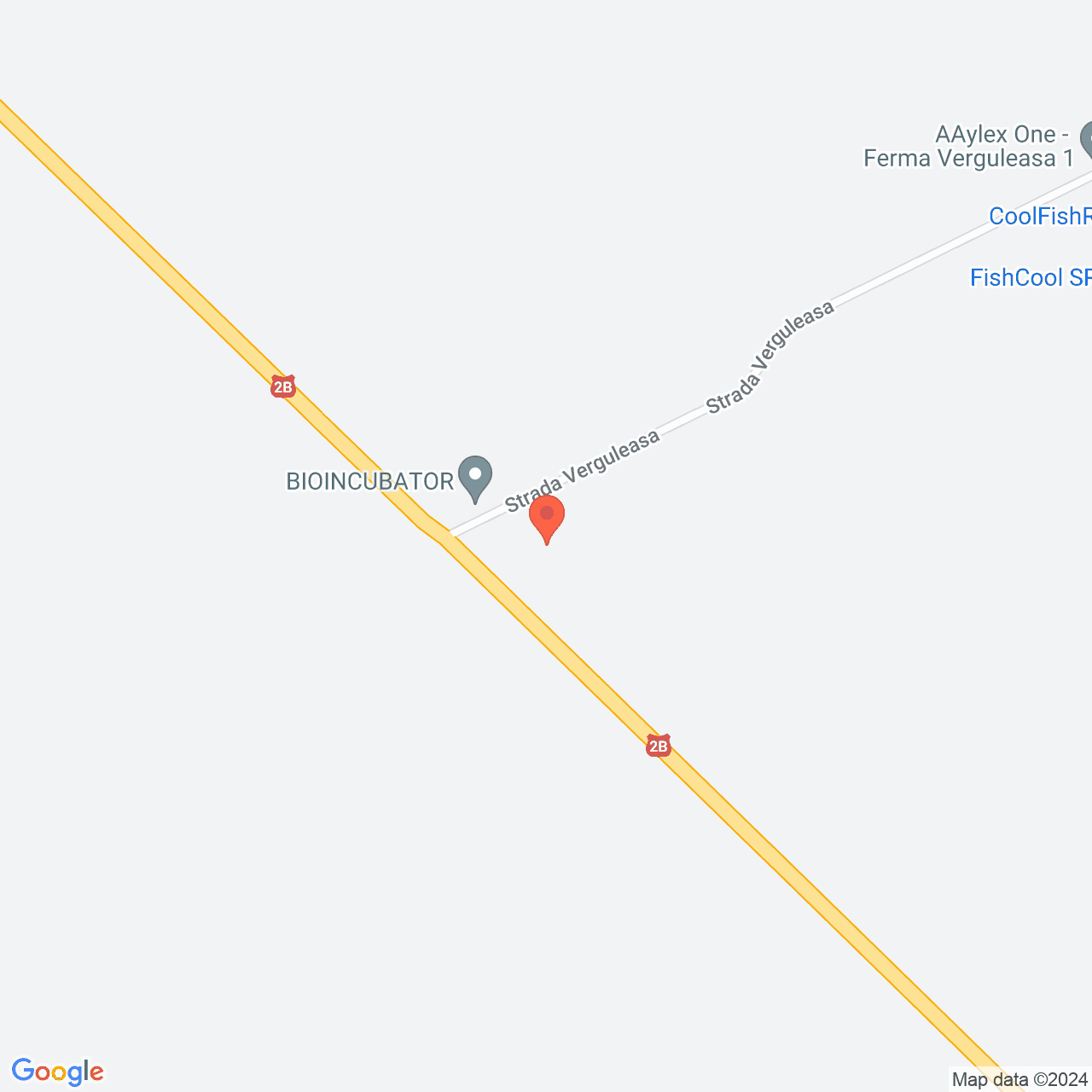 Poza harta streetview, zoom 16, adresa Buzau Soseaua Brailei, , judetul