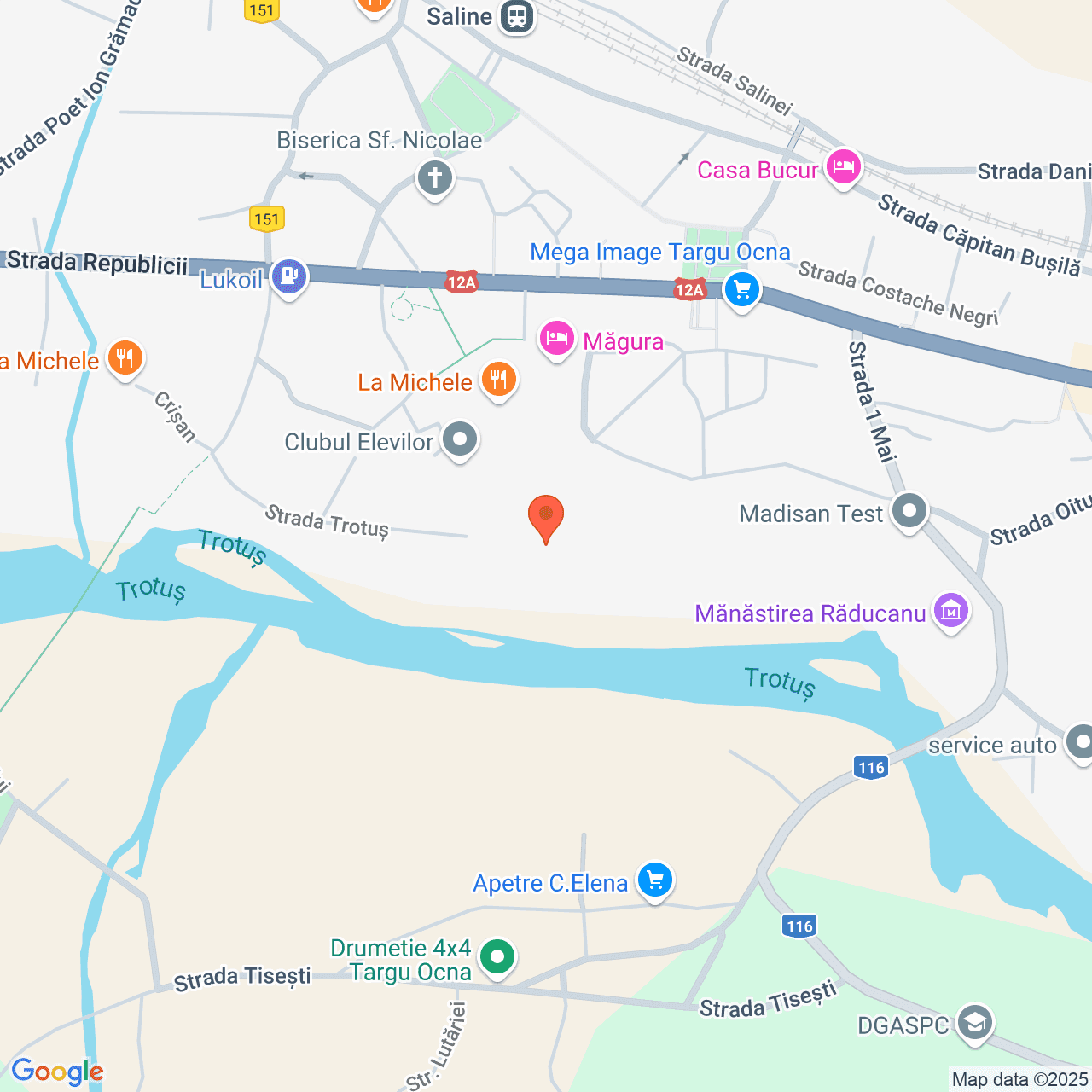 Poza harta streetview, zoom 16, adresa strada Tudor Vladimirescu, Târgu Ocna, , judetul