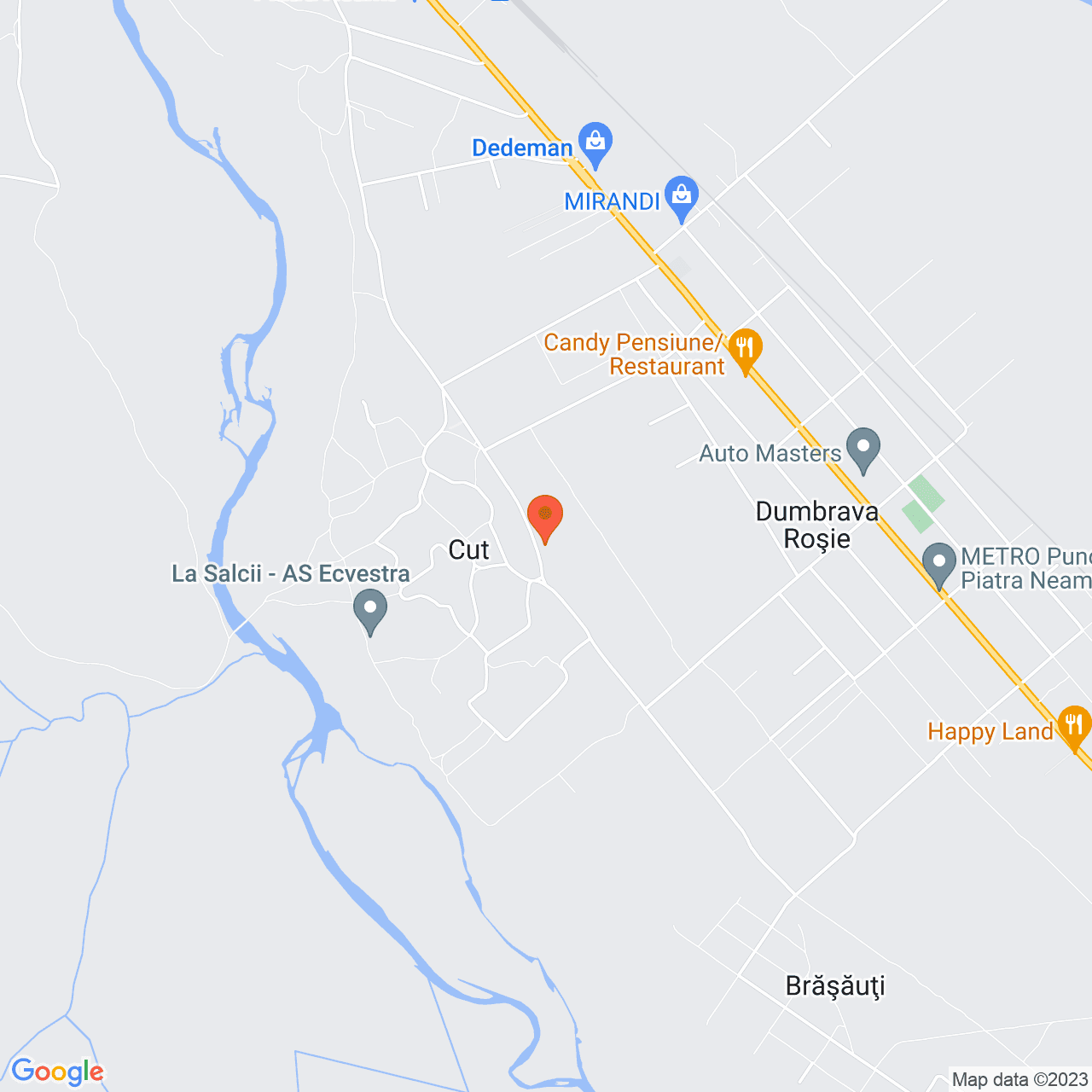 Poza harta streetview, zoom 14, adresa Dumbrava Rosie, , judetul