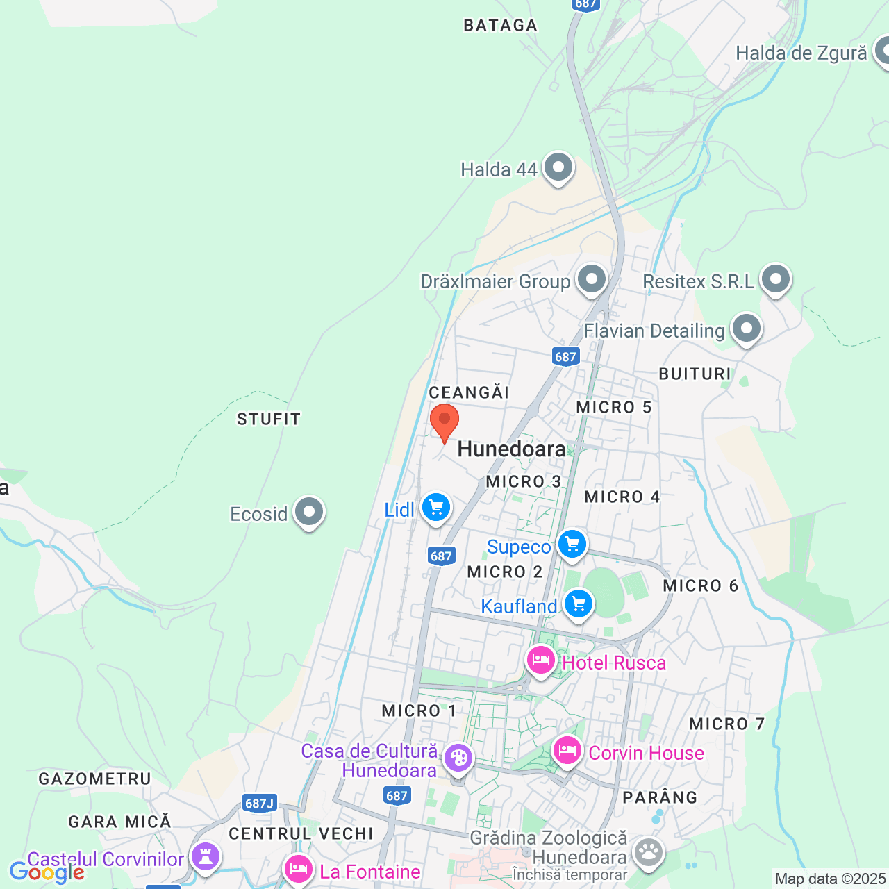 Poza harta streetview, zoom 14, adresa Hunedoara, str. Ecaterina Varga, nr.1, , judetul