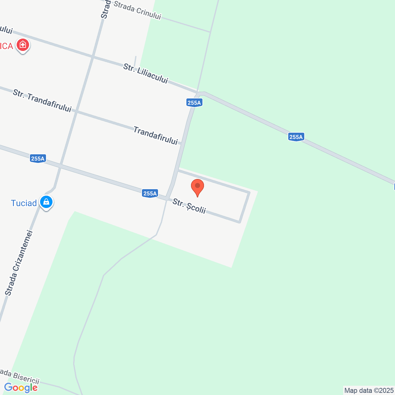 Poza harta streetview, zoom 16, adresa Unirea, Strada Scolii, Nr 2C, judet Braila, , judetul