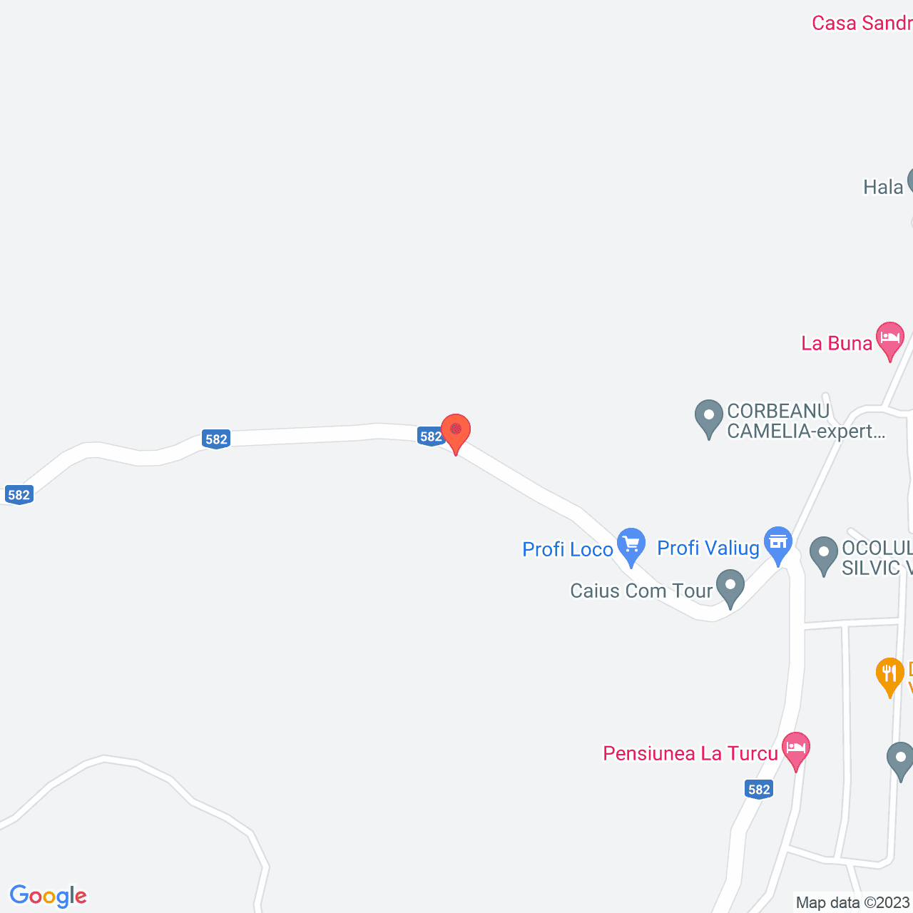 Poza harta streetview, zoom 16, adresa Valiug, , judetul