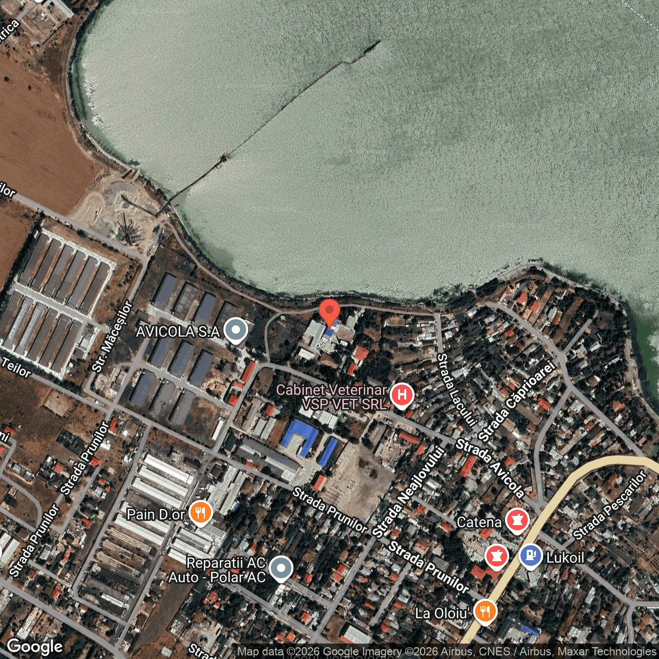 Poza harta hybrid, zoom 16, adresa Mihailesti, str. Avicola, nr. 24, , judetul