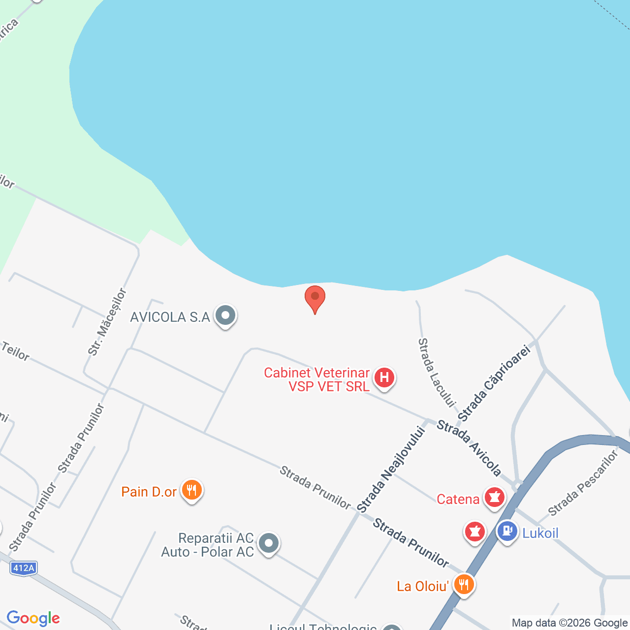 Poza harta streetview, zoom 16, adresa Mihailesti, str. Avicola, nr. 24, , judetul