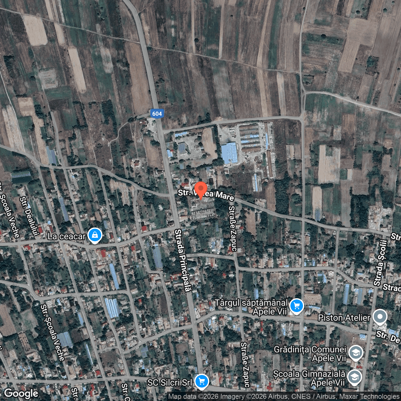 Poza harta hybrid, zoom 16, adresa Apele Vii Dolj, , judetul