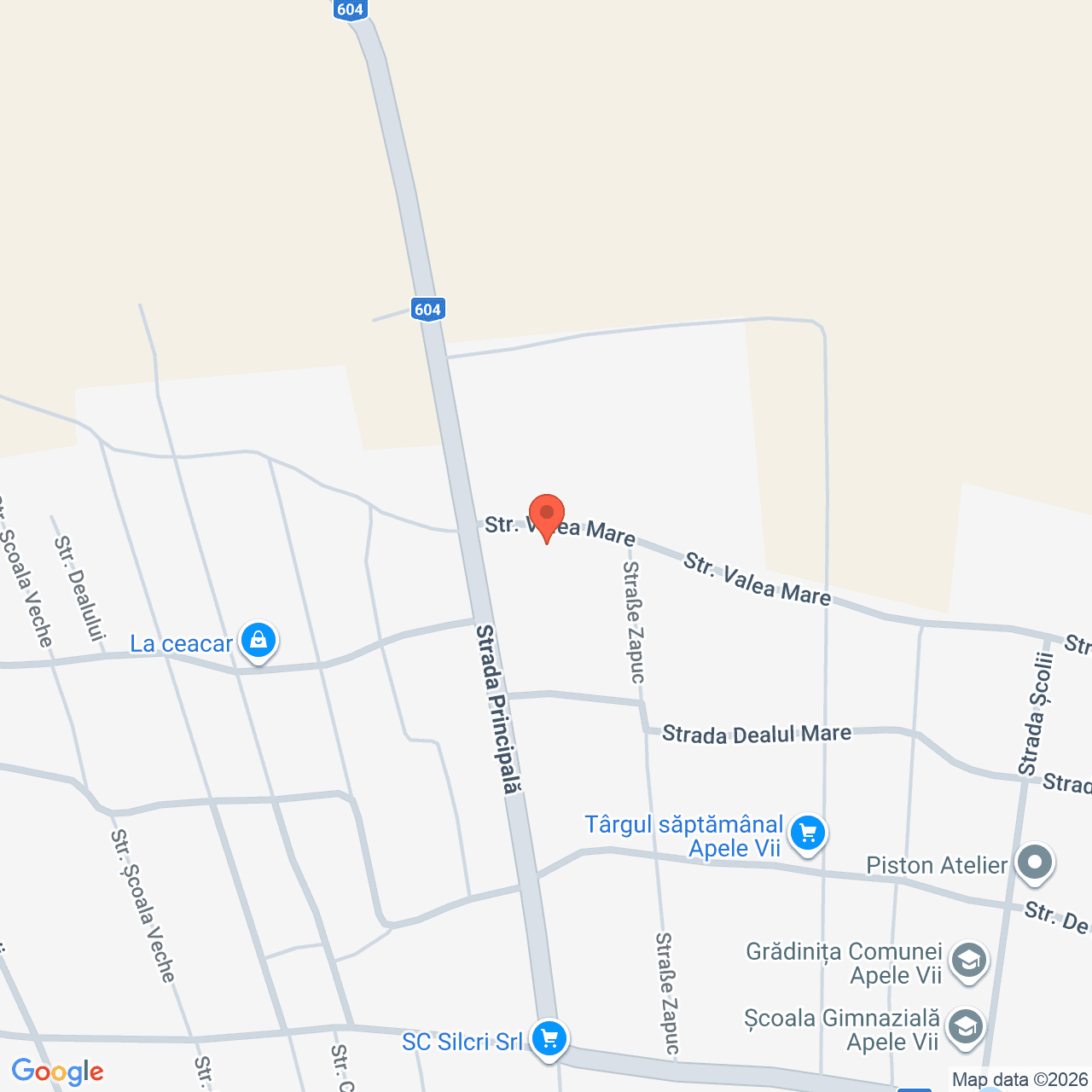 Poza harta streetview, zoom 16, adresa Apele Vii Dolj, , judetul