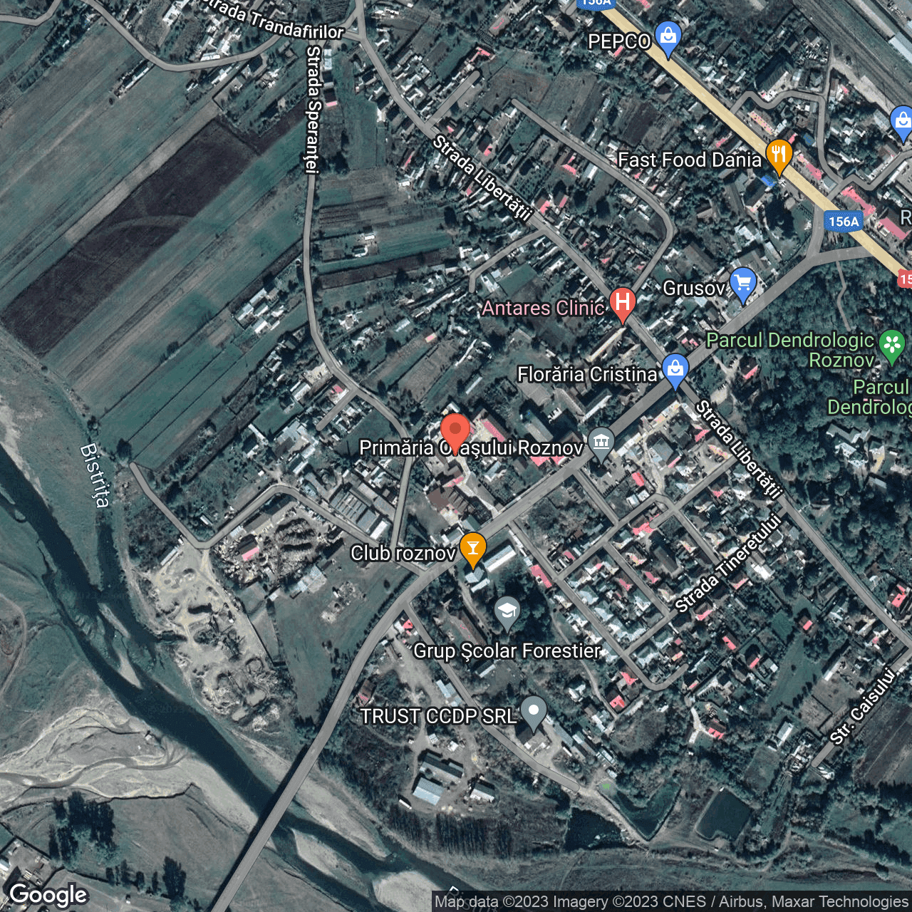 Poza harta hybrid, zoom 16, adresa  Roznov, str. Tineretului, nr. 652, , judetul