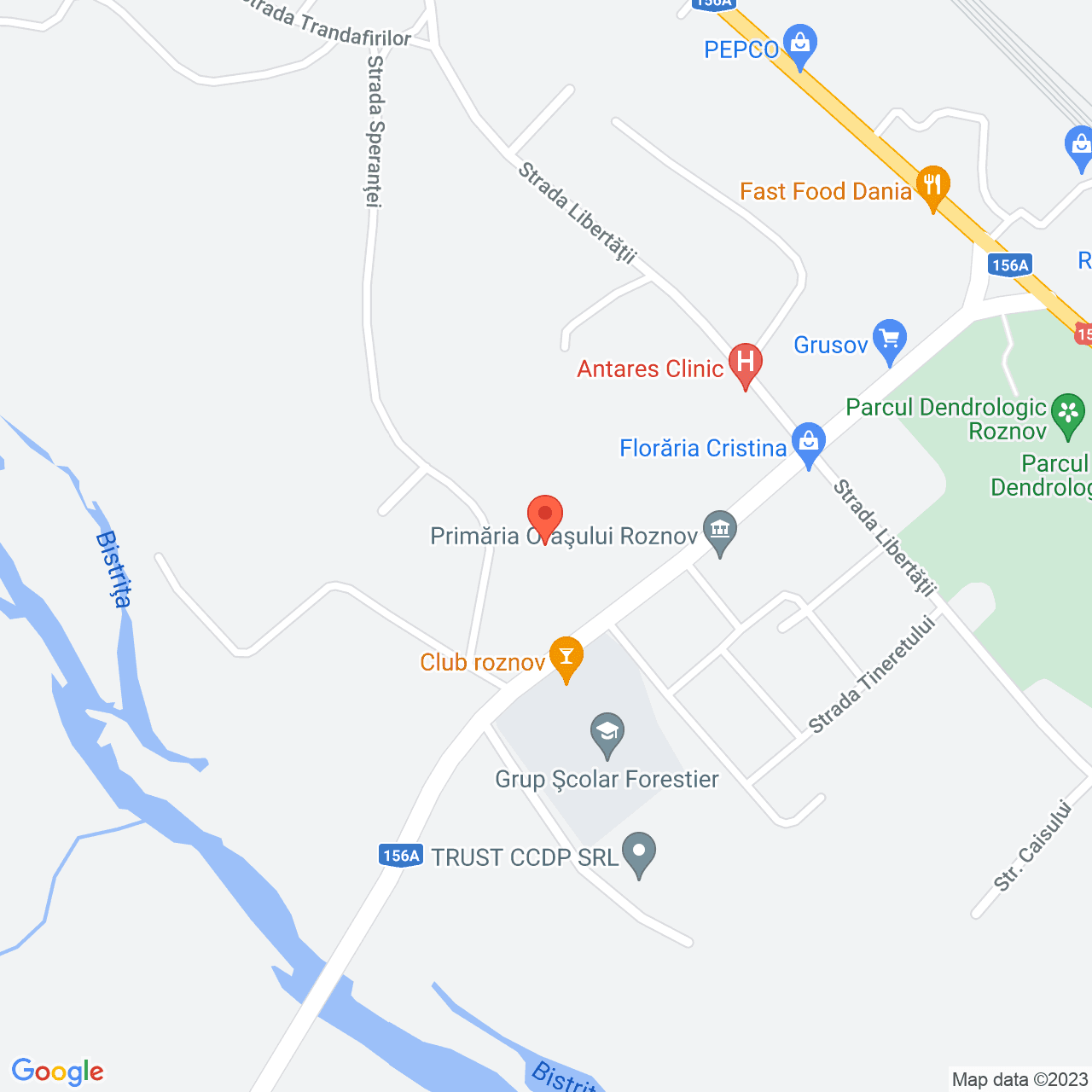 Poza harta streetview, zoom 16, adresa  Roznov, str. Tineretului, nr. 652, , judetul