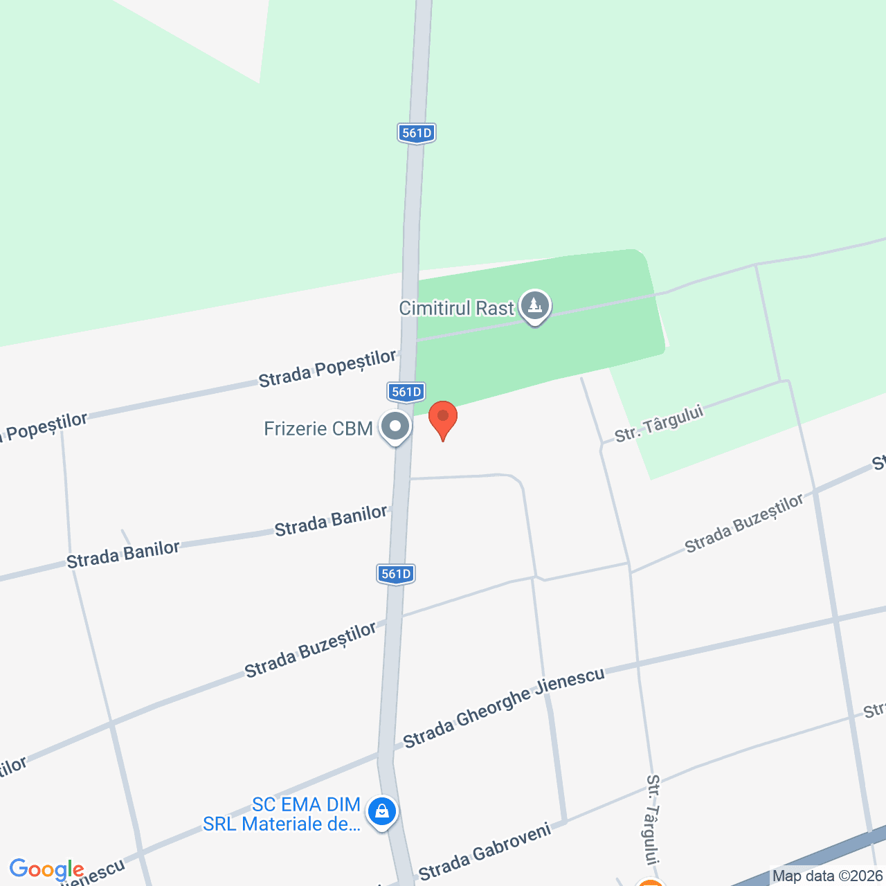 Poza harta streetview, zoom 16, adresa Rast Dolj, , judetul