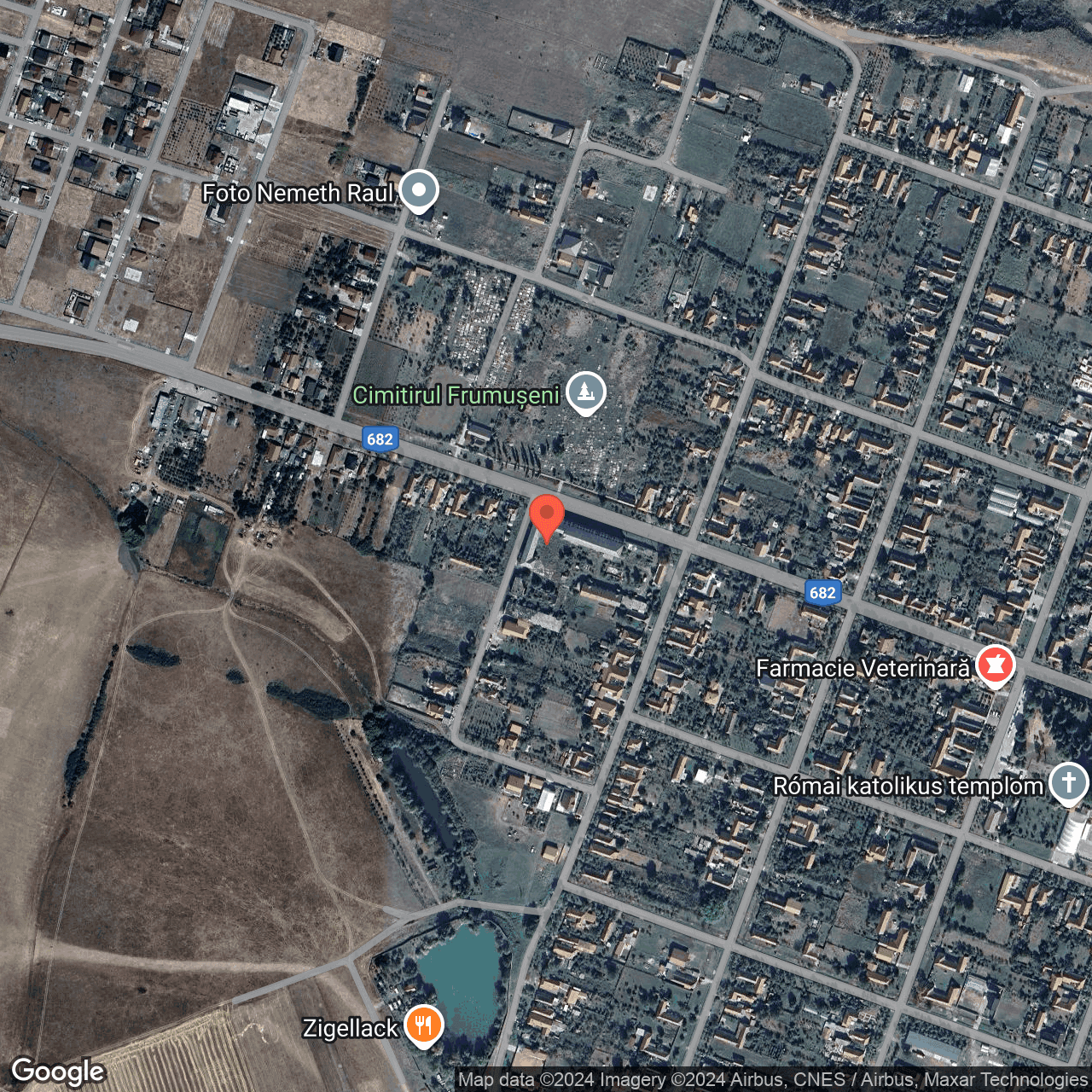Poza harta hybrid, zoom 16, adresa Frumuseni Arad, , judetul
