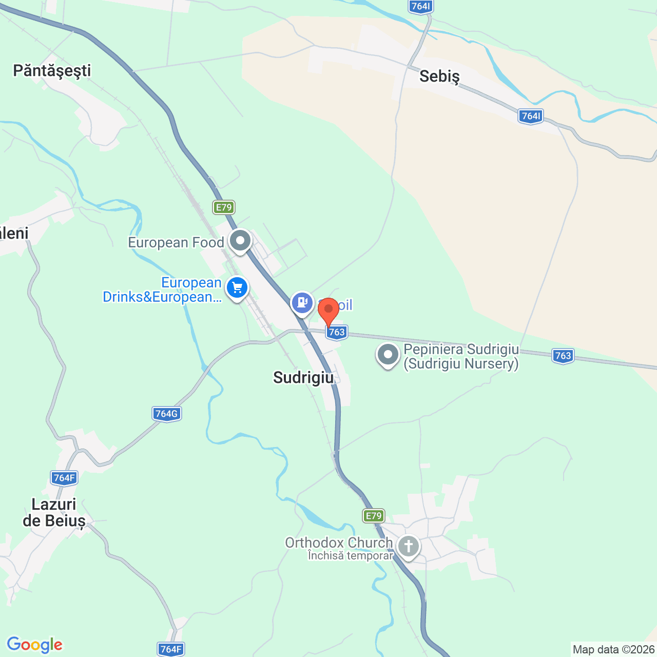 Poza harta streetview, zoom 14, adresa Sebis Draganesti Bihor, , judetul