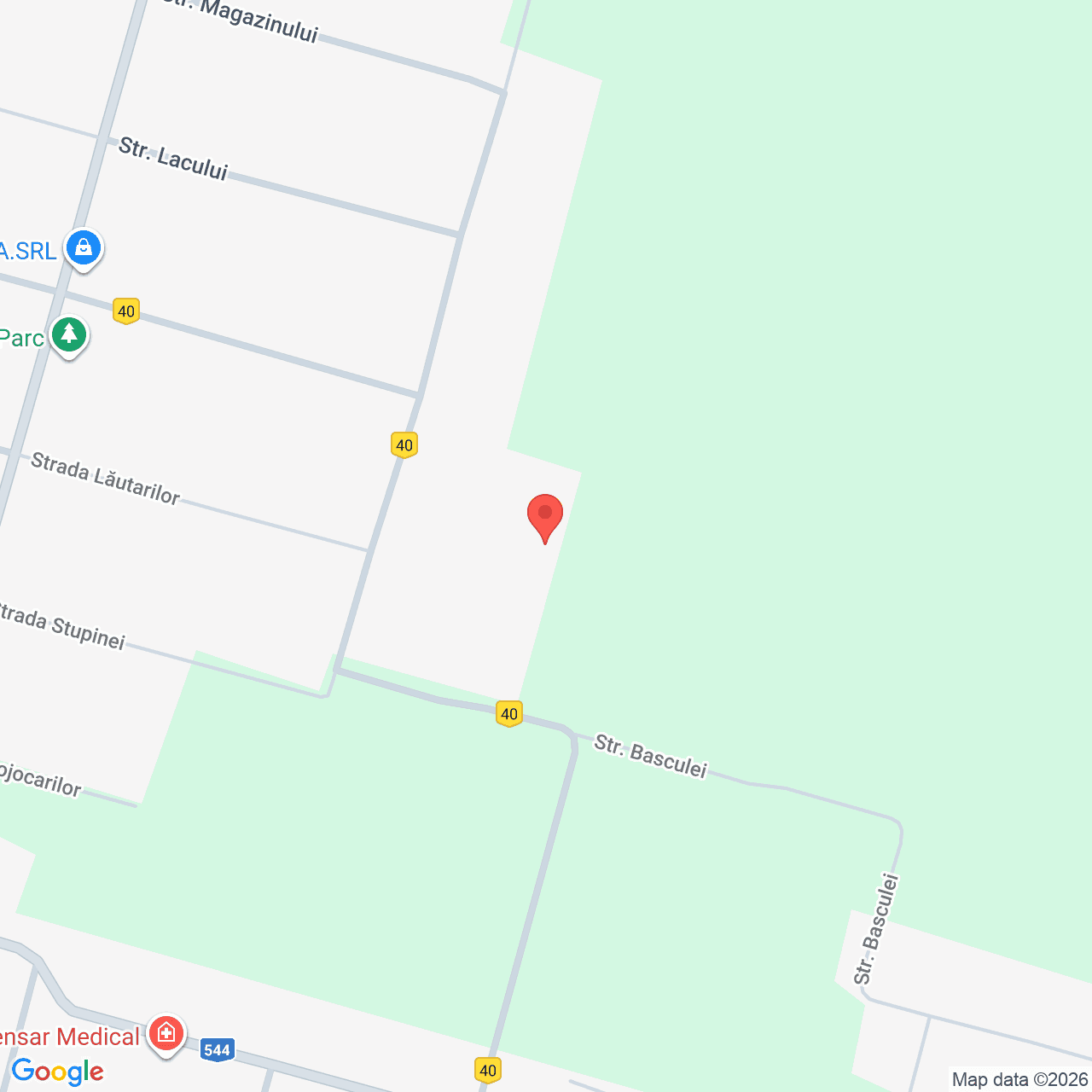 Poza harta streetview, zoom 16, adresa Stefan cel Mare, jud. Olt, , judetul