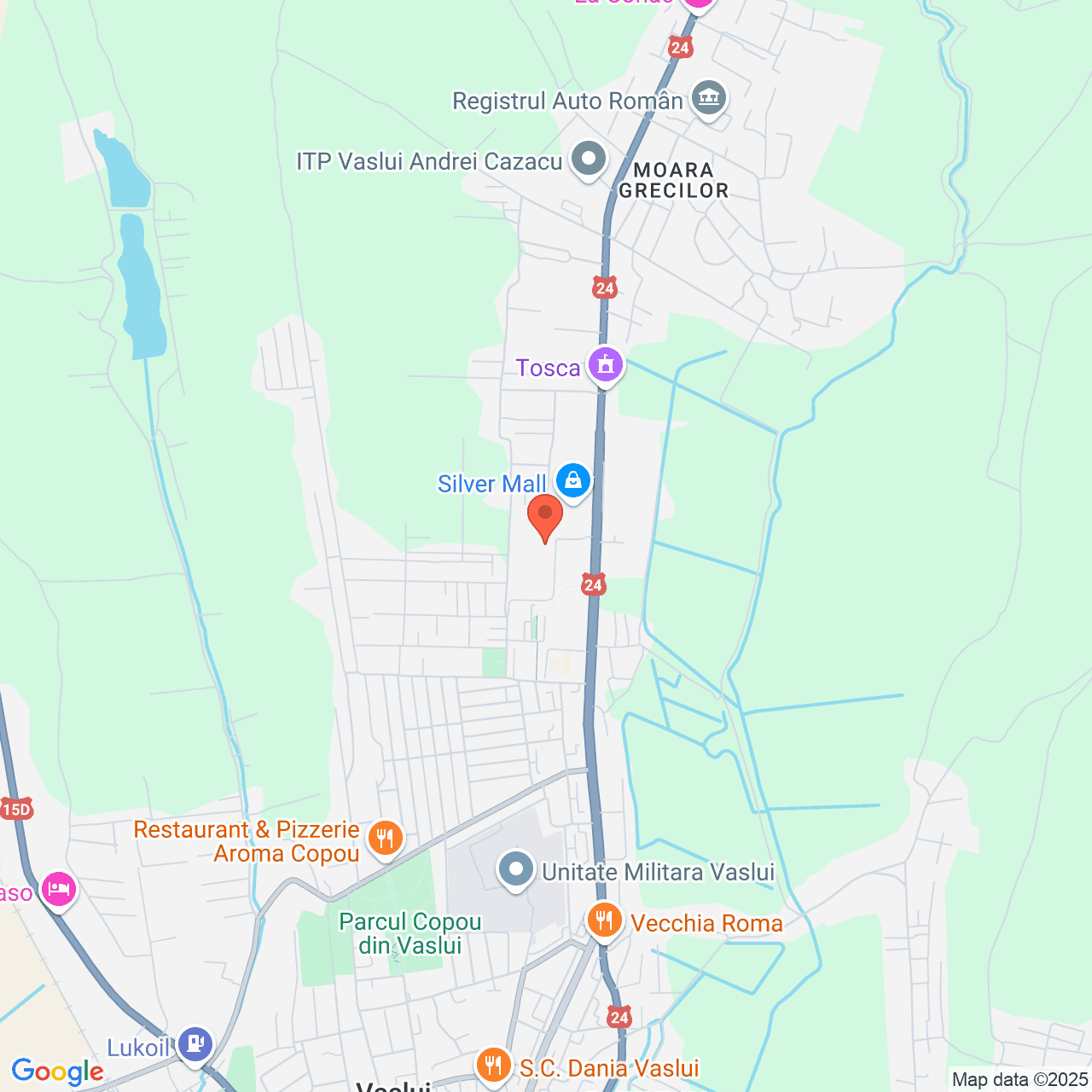 Poza harta streetview, zoom 14, adresa Vaslui, str. Ștefan cel Mare, nr.273, , judetul