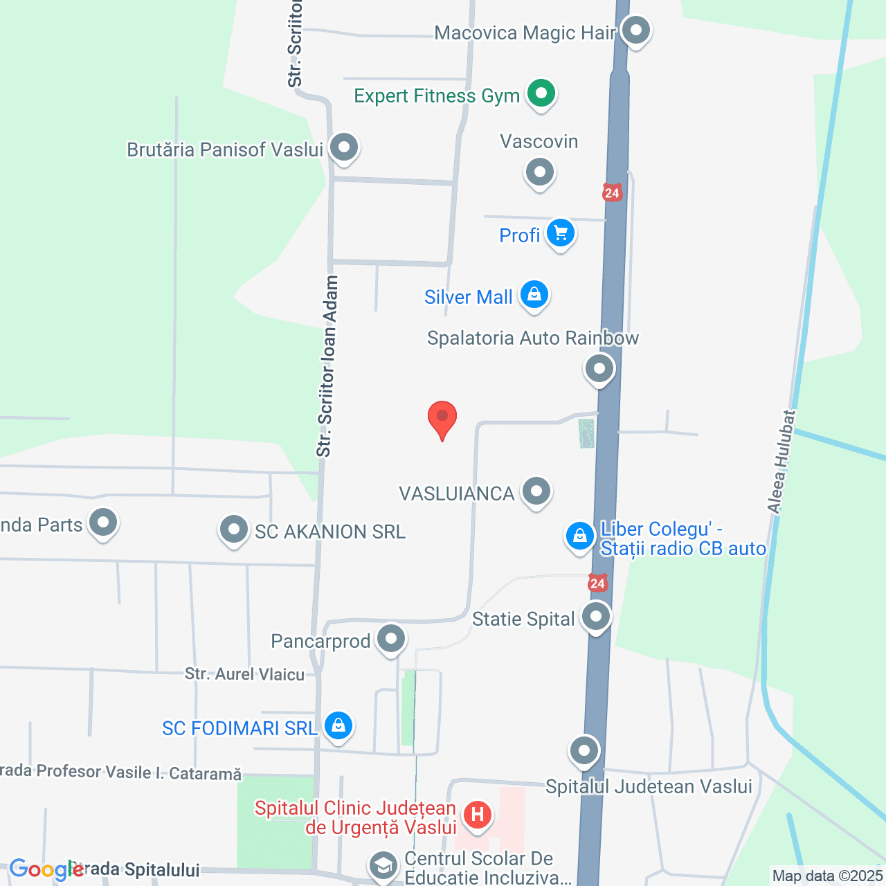 Poza harta streetview, zoom 16, adresa Vaslui, str. Ștefan cel Mare, nr.273, , judetul