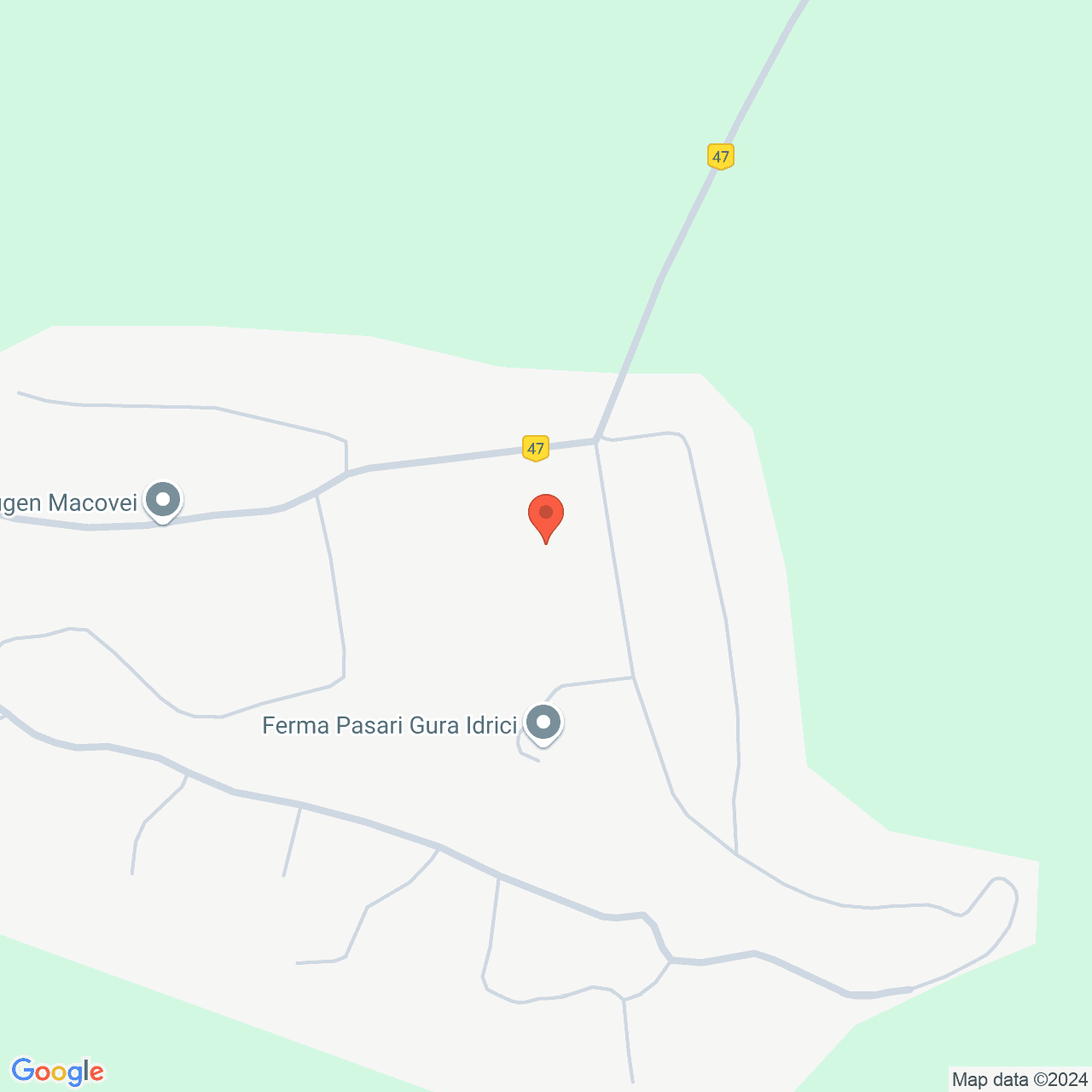 Poza harta streetview, zoom 16, adresa Gura Idrici, Com. Rosiesti, jud. Vaslui, , judetul