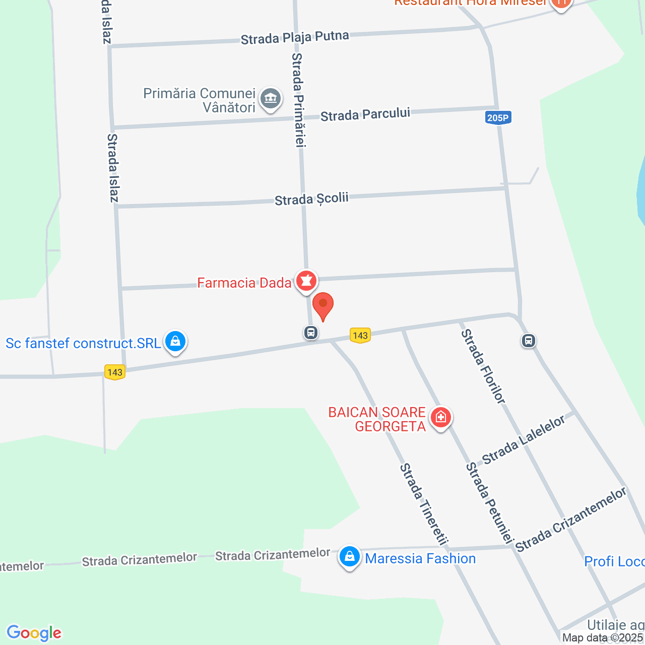 Poza harta streetview, zoom 16, adresa Vanatori Vrancea, , judetul