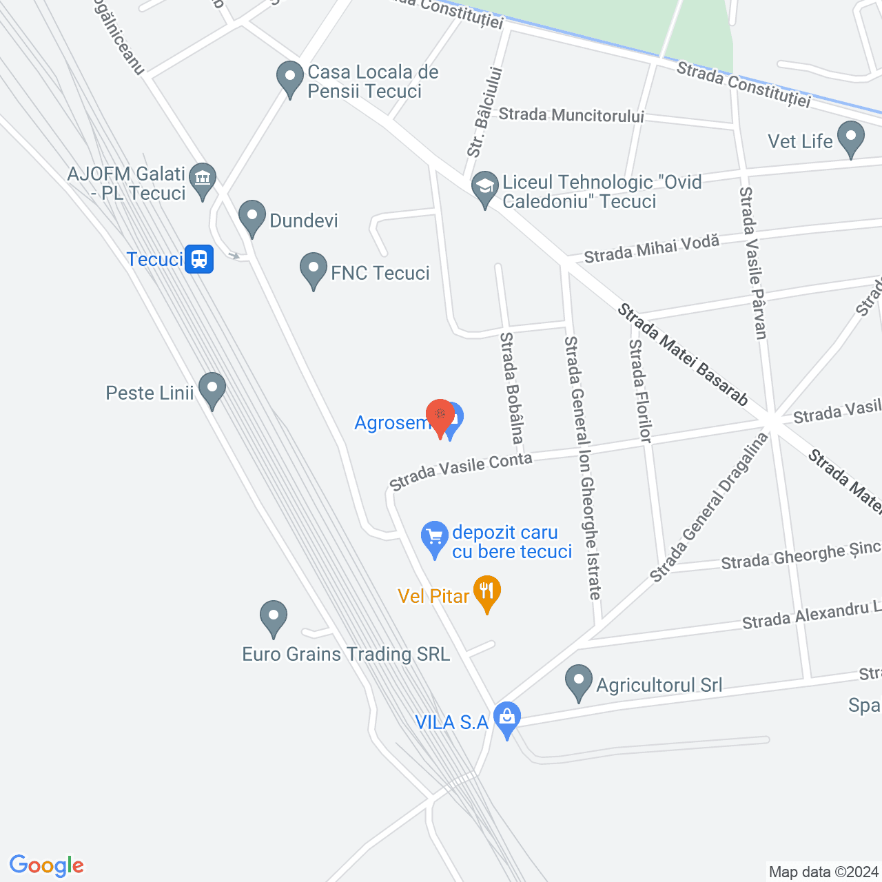 Poza harta streetview, zoom 16, adresa Tecuci, Str. Vasile Conta nr. 28, , judetul