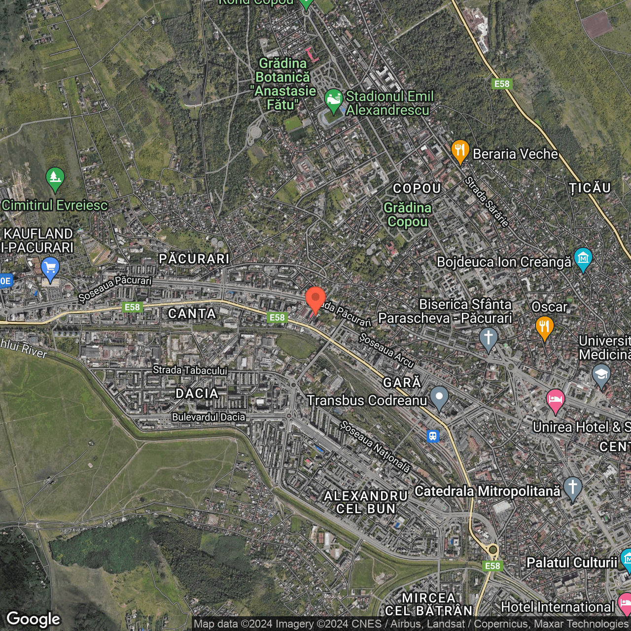 Poza harta hybrid, zoom 14, adresa  Iasi Str. Niciman nr. 1, , judetul